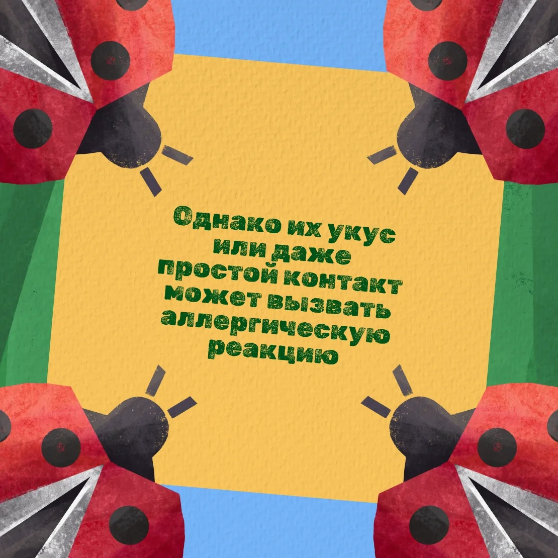 🐞Божья коровка — символ удачи, детства и лета. Её рисуют на открытках и загадывают желания, когда о