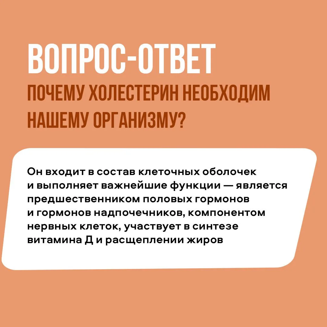 Холестерин — друг или враг? 🧈⁣