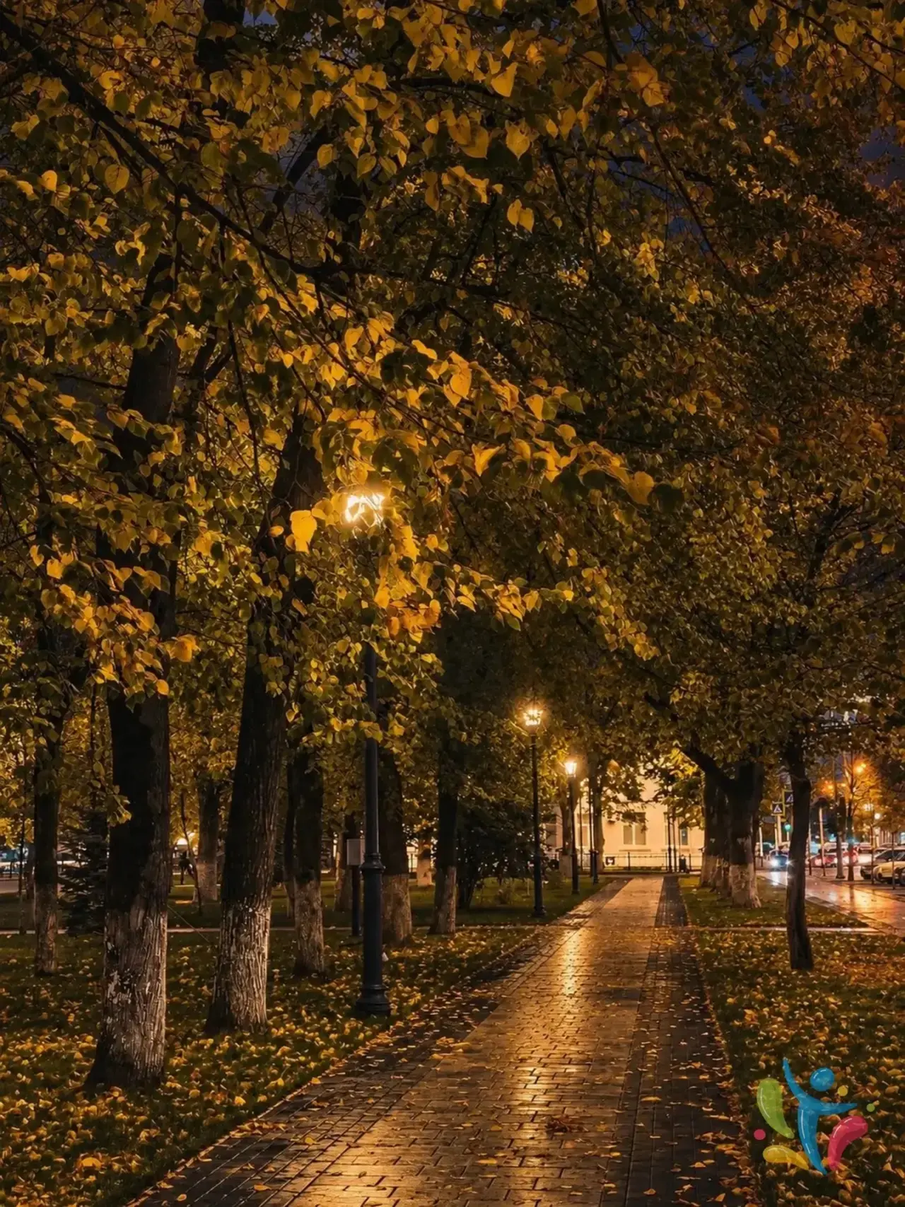 Доброй ночи 🍂