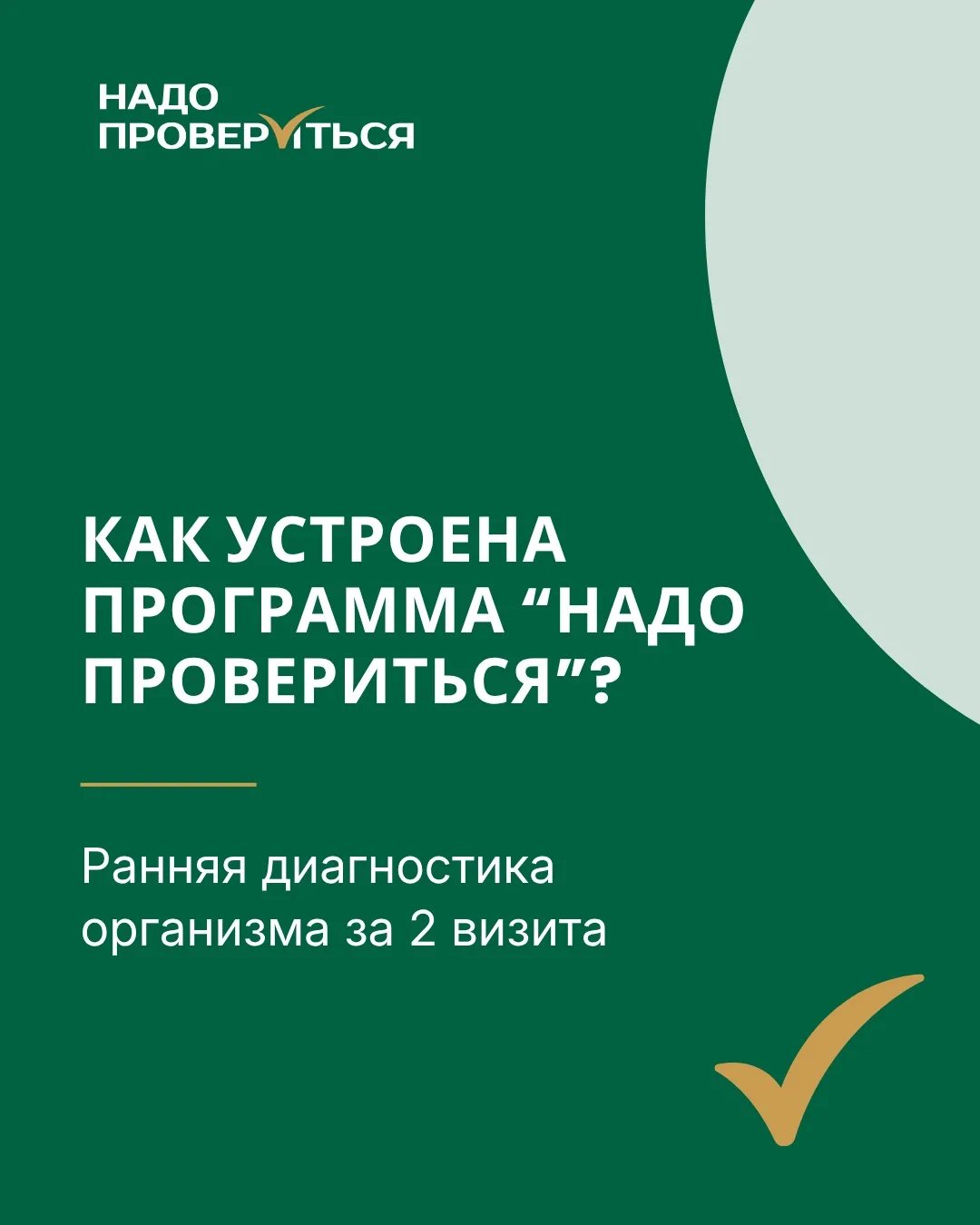 Что вас ждёт в рамках нашей программы?