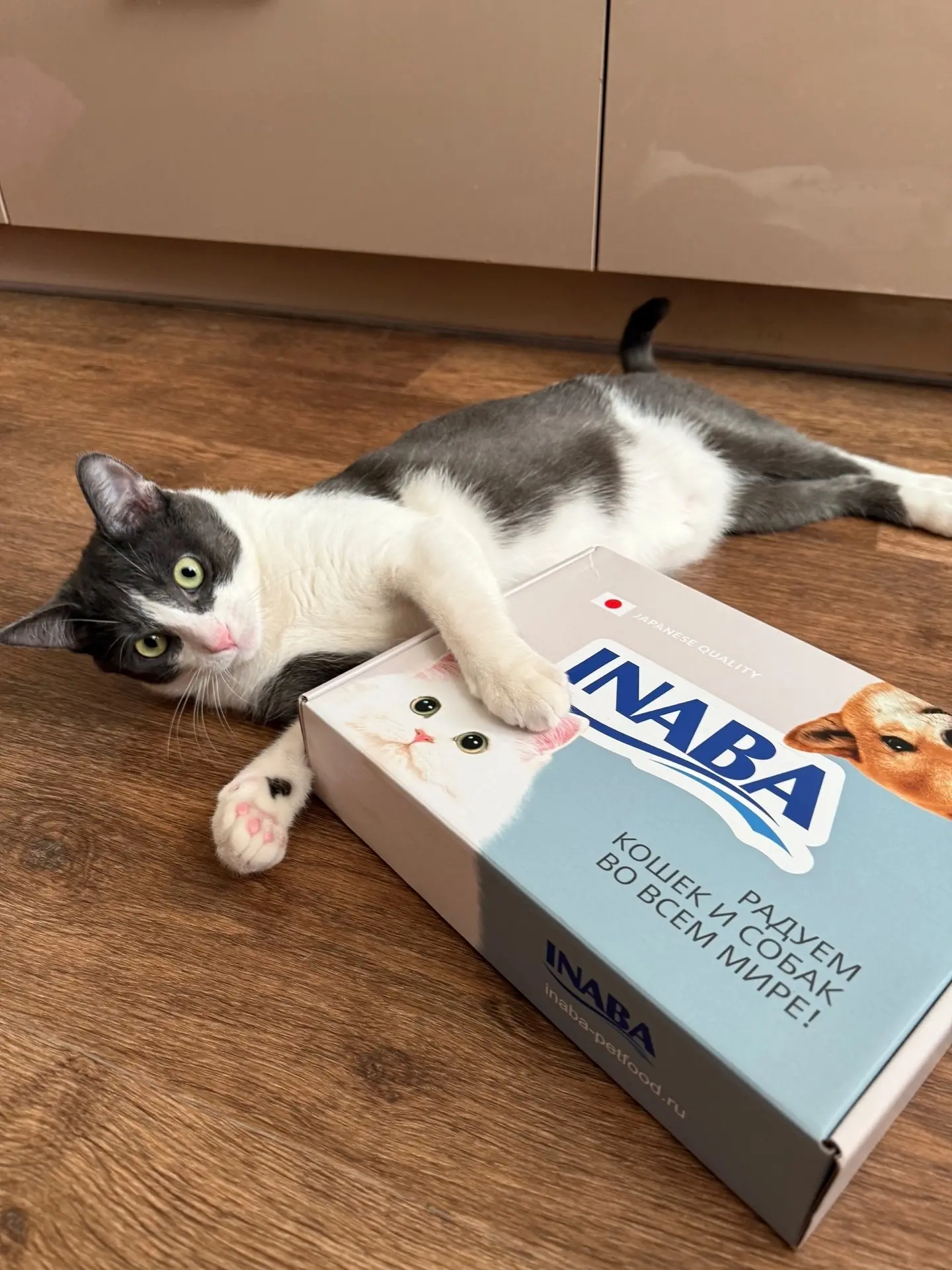 😋 Это вкусные вторники с INABA®, и в этот день мы традиционно показываем тех, кто свои...