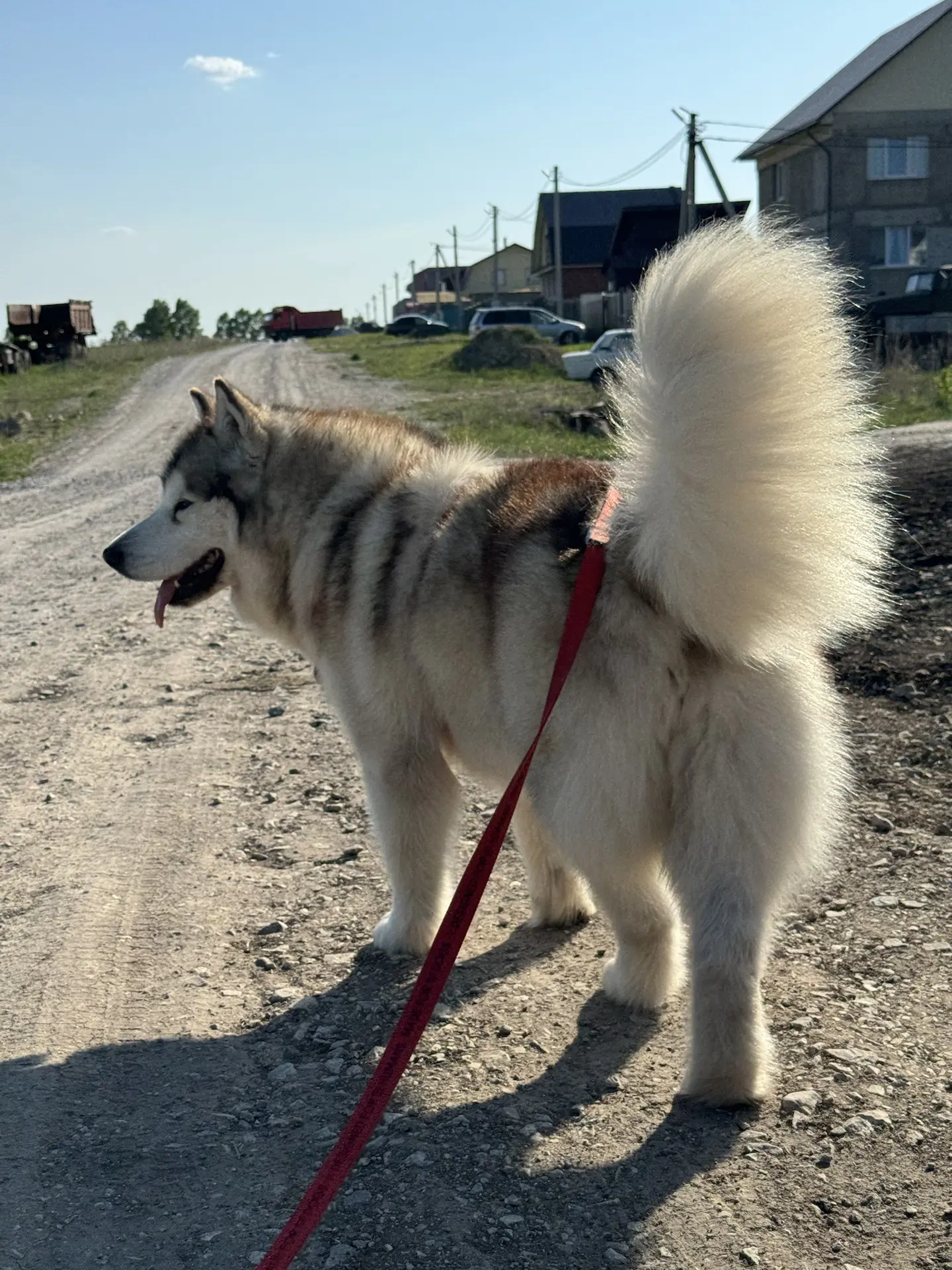 ну и результат! 💅🏻