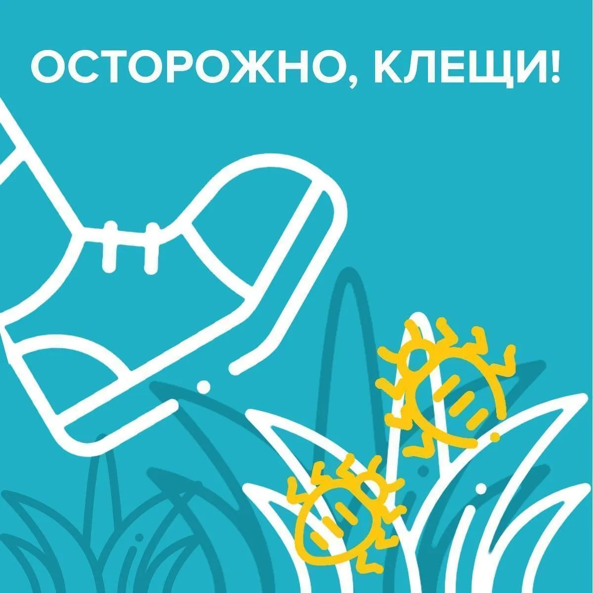 🕷Осторожно, клещи!