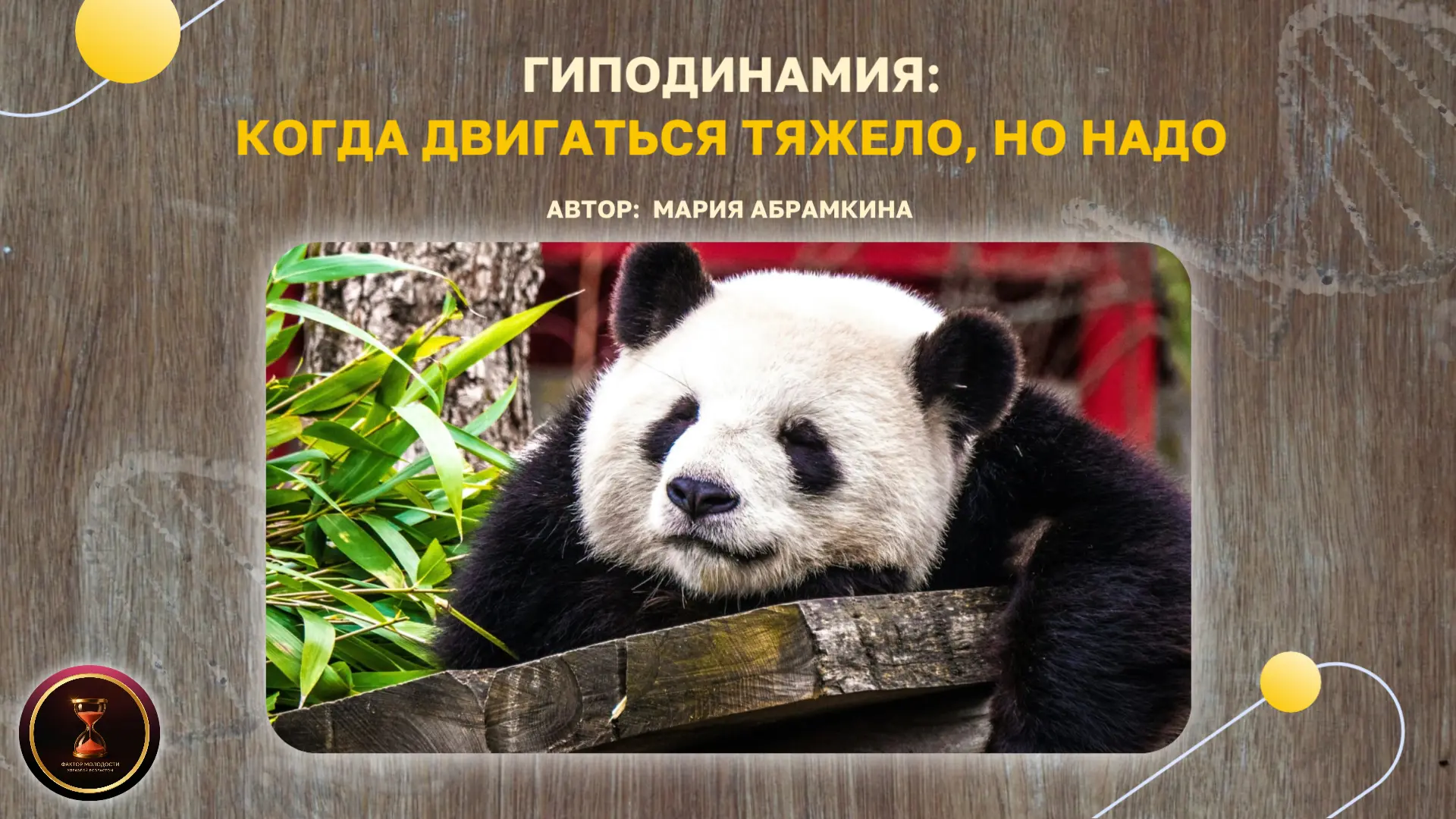 Мы стали меньше двигаться. Сидячая работа, машина, лифт, доставка еды — тело перестаёт ...