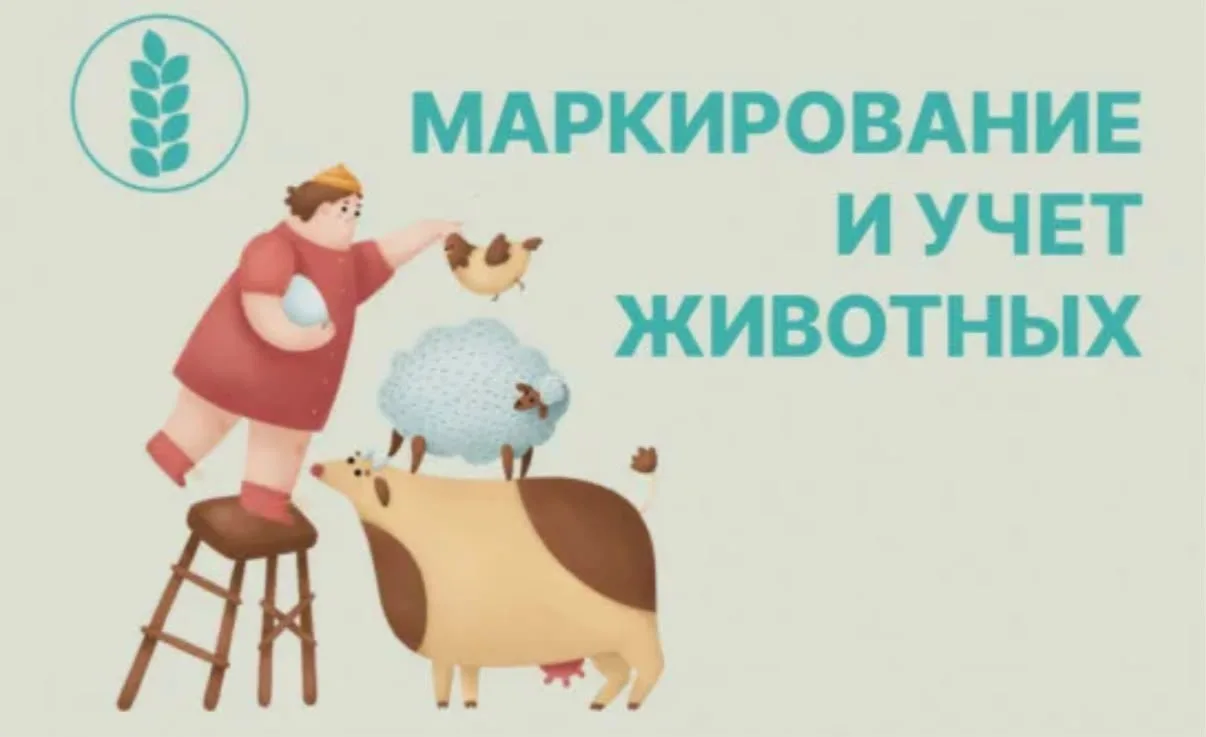 Уважаемые жители района!