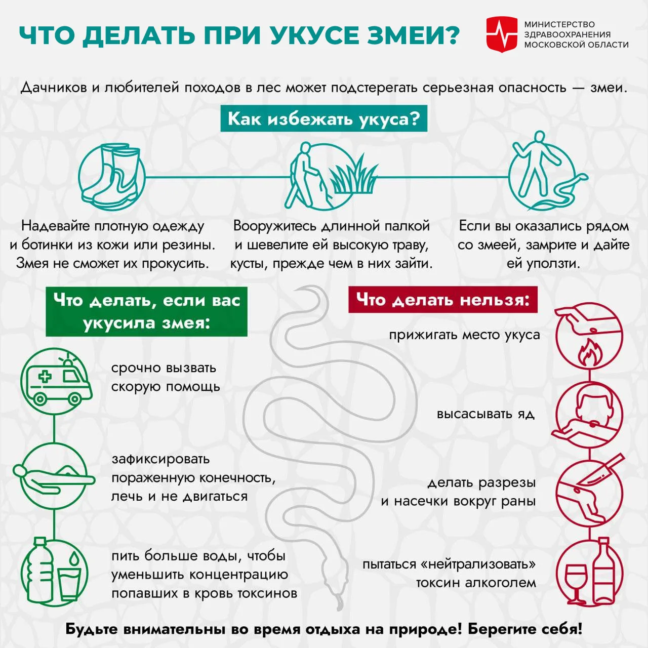 Если Вы любите гулять в лесу или степи, собирать грибы и ягоды, любите туристические по...