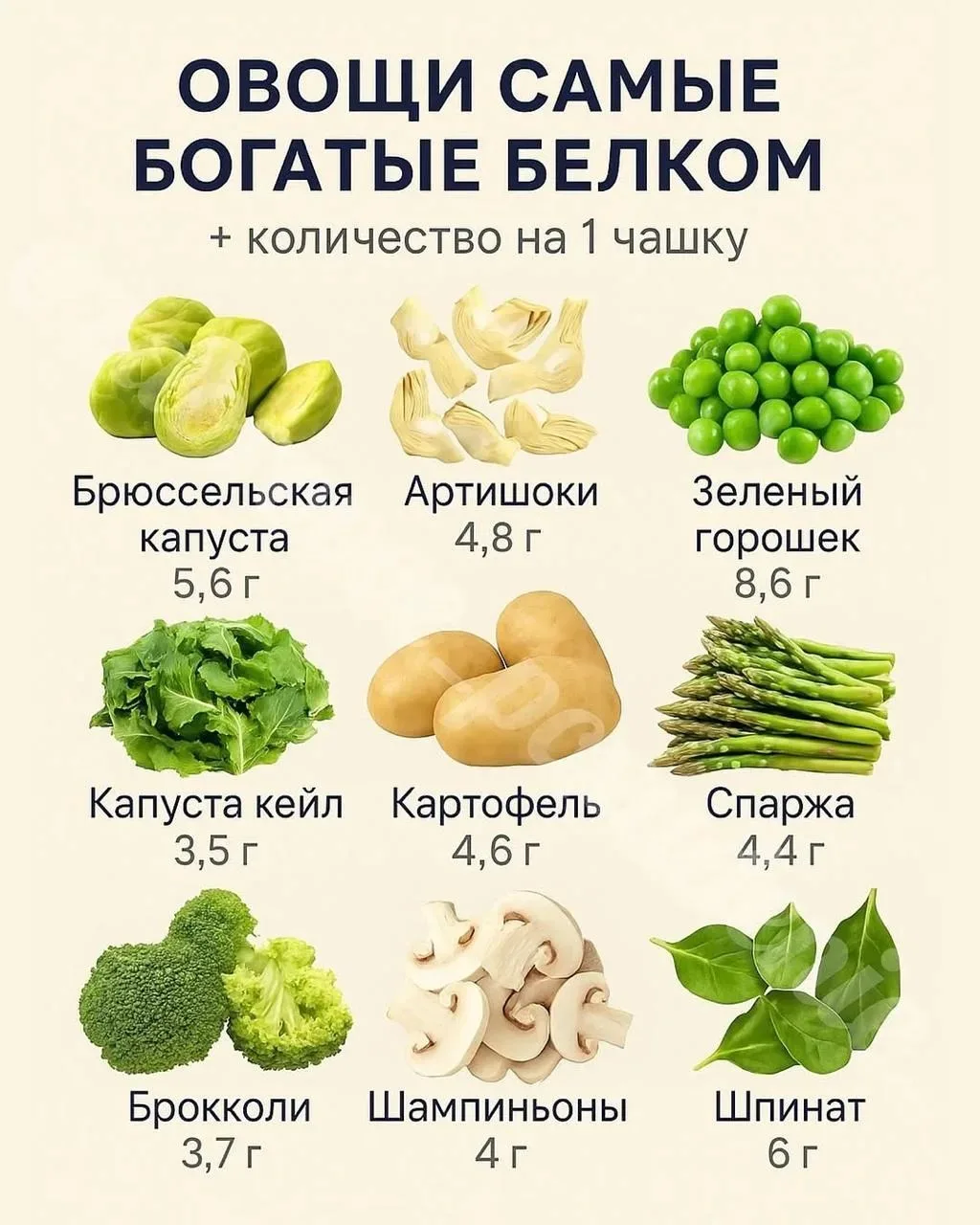 Самые белковые овощи

Сохраняем шпаргалку по правильным источникам белка

Контрольная закупка

Газет