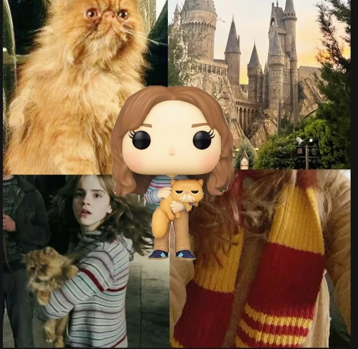 🥰 Эстетика Гермионы Грейнджер