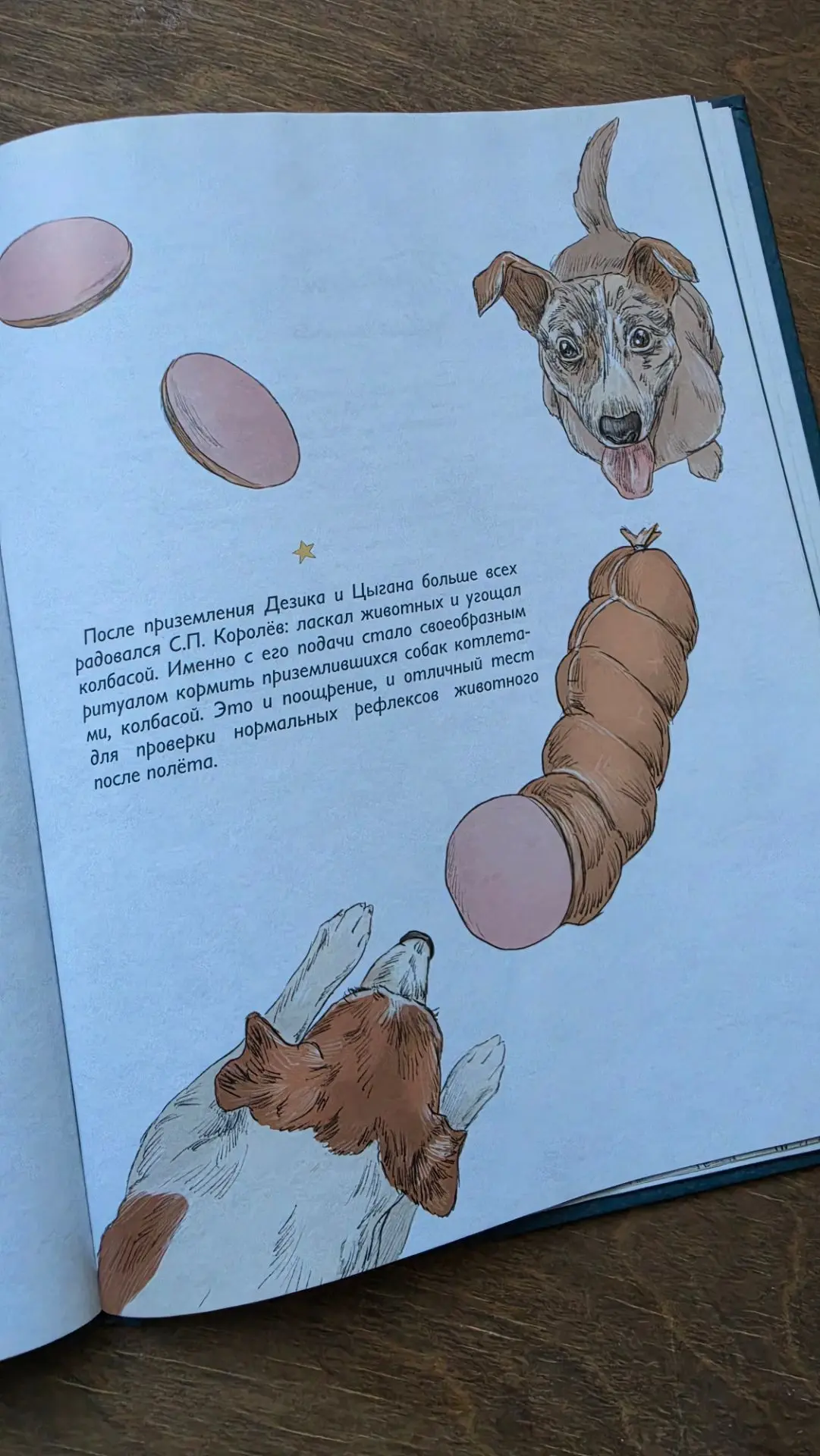 Должны быть милыми! Ведь о них узнает весь мир...