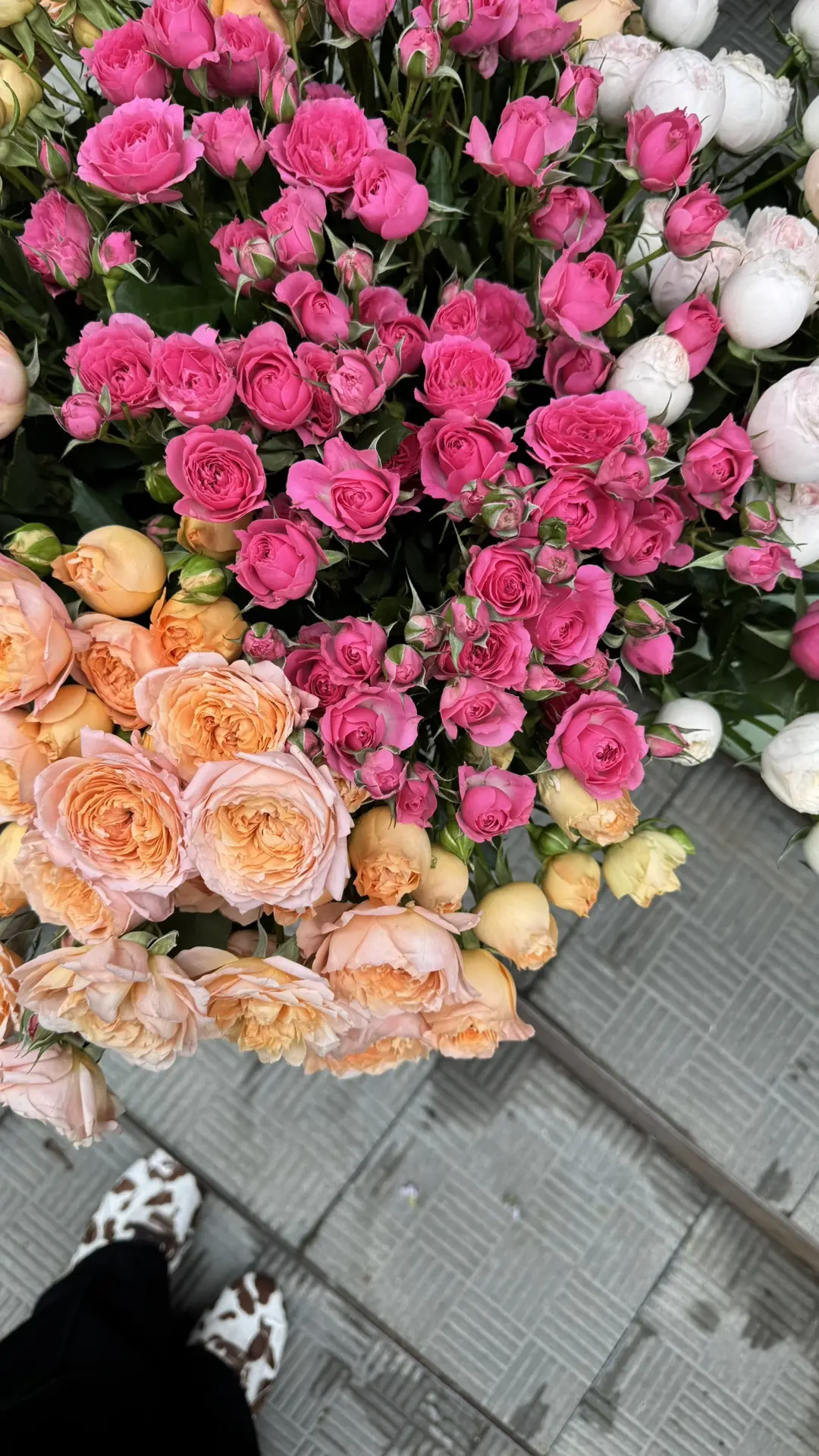 Яркие краски лета 😍🌸

СВЕЖАЯ ПОСТАВКА

Заказать можно по телефону +7(914)682-14-98

📍Адрес: Ломон