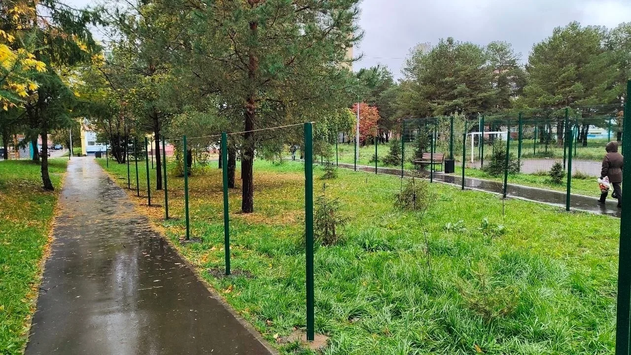 Добрый день. Прошу Вас опубликовать анонимно следующий текст: