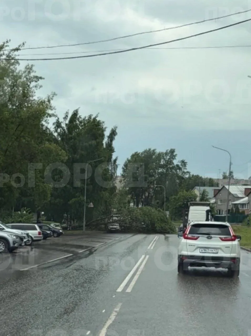 ⚡️На проспекте Мира в Кирово-Чепецке во время сильного ветра дерево упало прямо на автомобиль. 
Исто