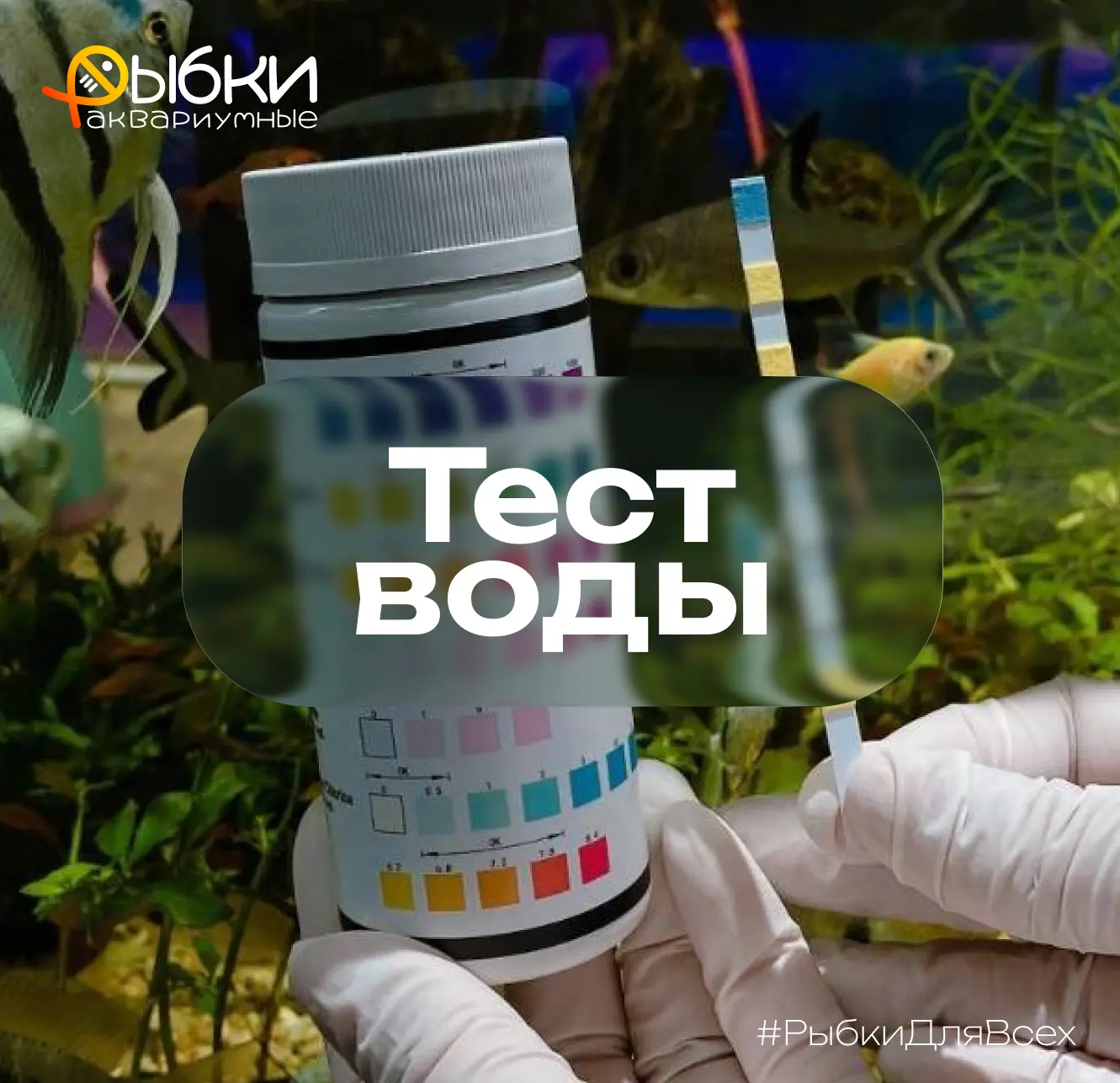 Как часто нужно делать тесты воды в аквариуме?