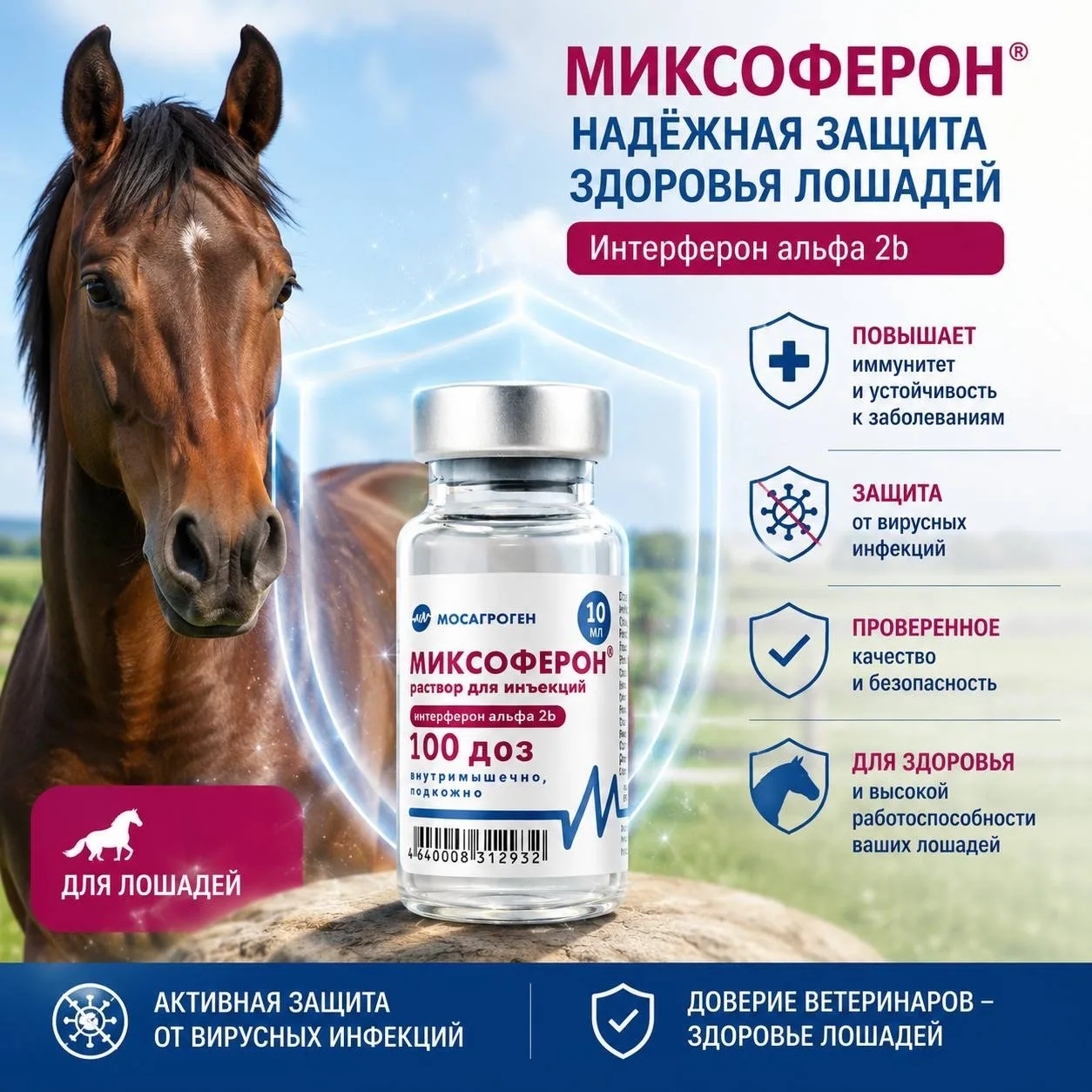 🐎 Кашель на конюшне? Экстренная поддержка иммунитета