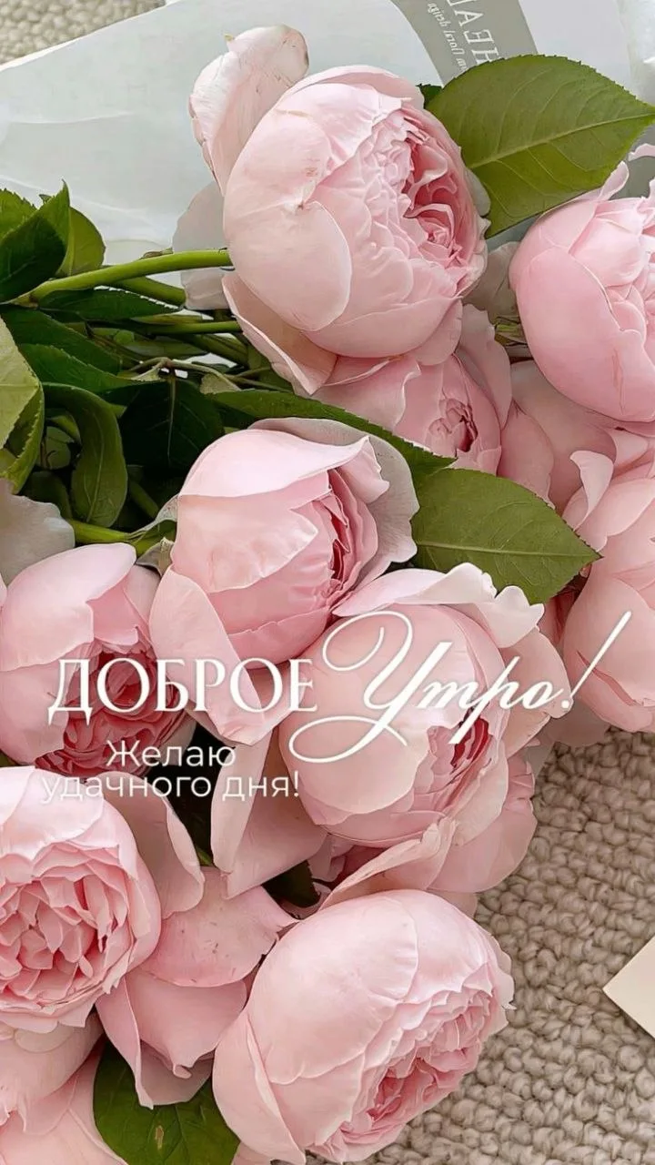 Делитесь открыткой с друзьями и поддерживайте реакцией 
 
Твои открытки - подписаться