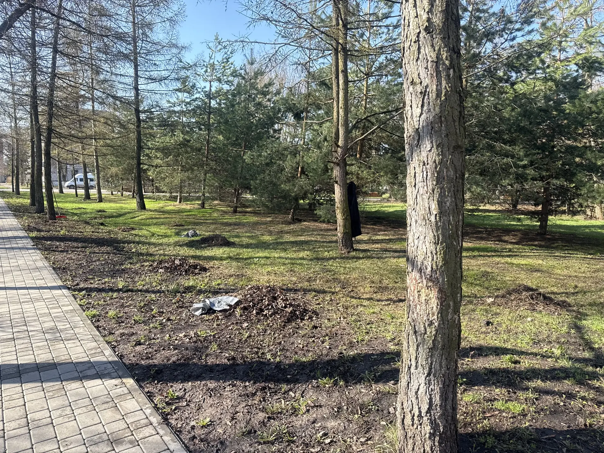 В рамках месячника чистоты прошла уборка общественного пространства вокруг учреждения детского сада.