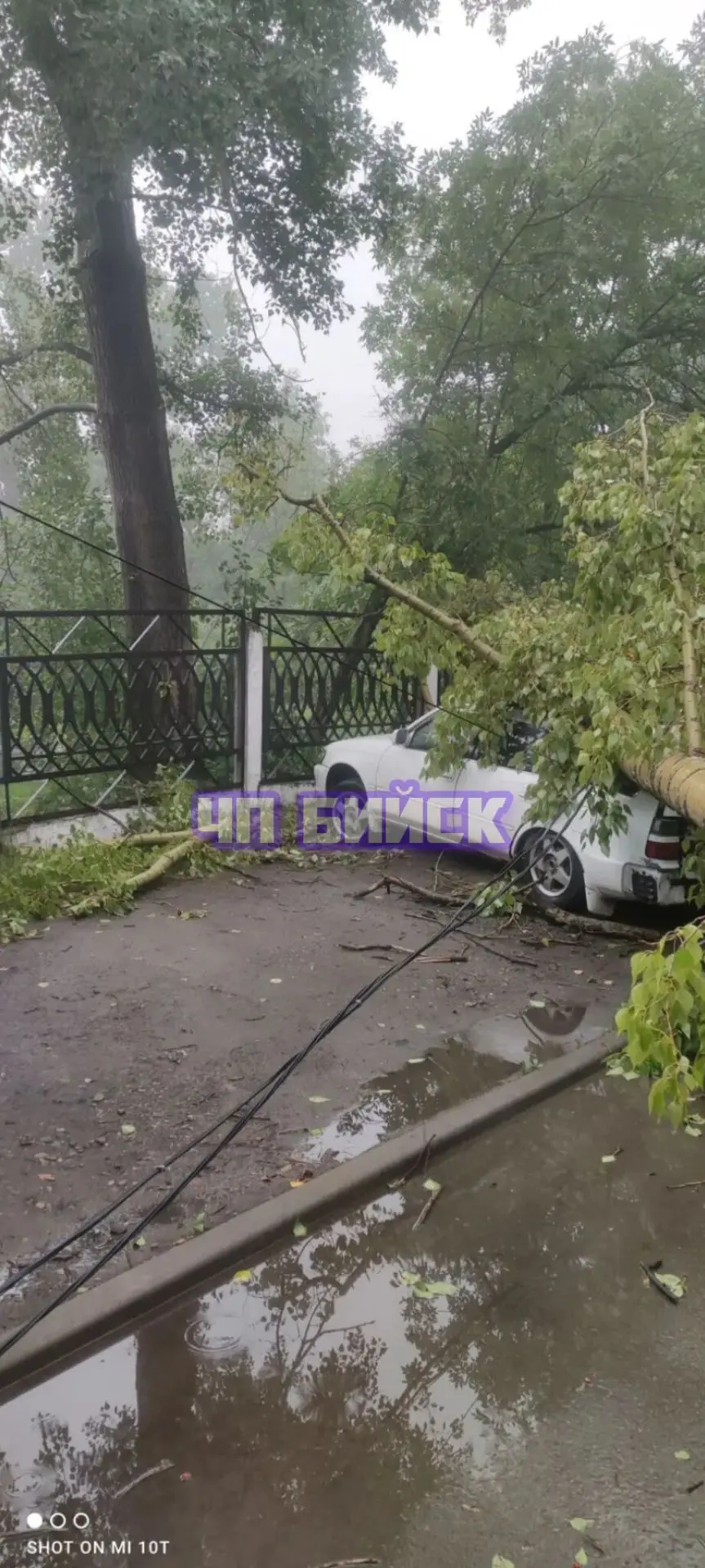 🚨 На автомобиль упало дерево из-за сильного ветра! Нужна помощь и совет!

От подписчицы:
Уважаемые 