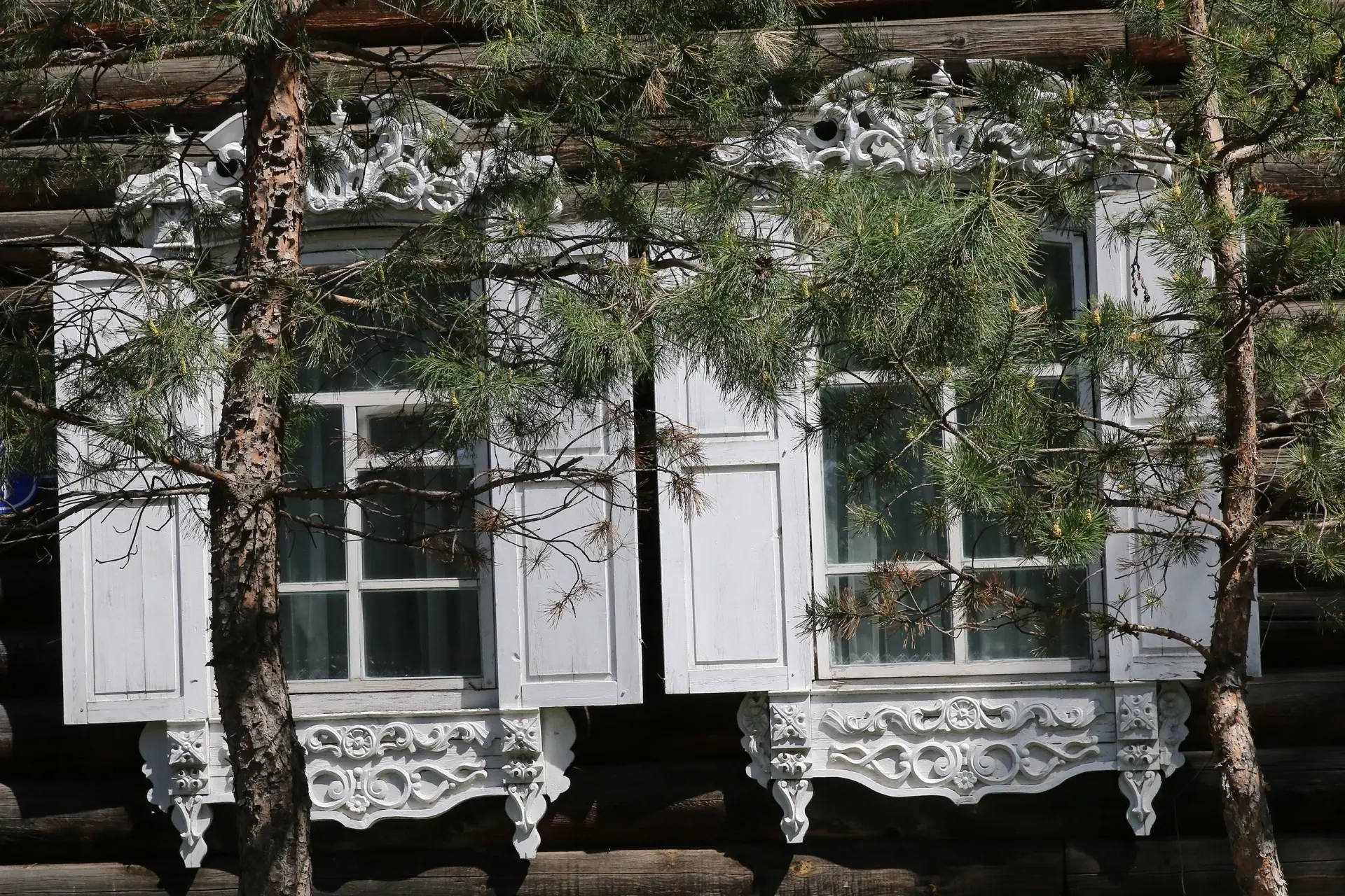 🌲 Сибирское барокко из кедра