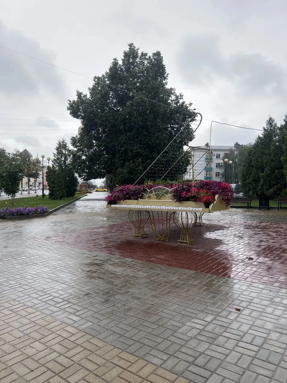 Улица Ленина в Курске зацвела

Пешеходную часть главной улицы продолжают украшать цветочными компози