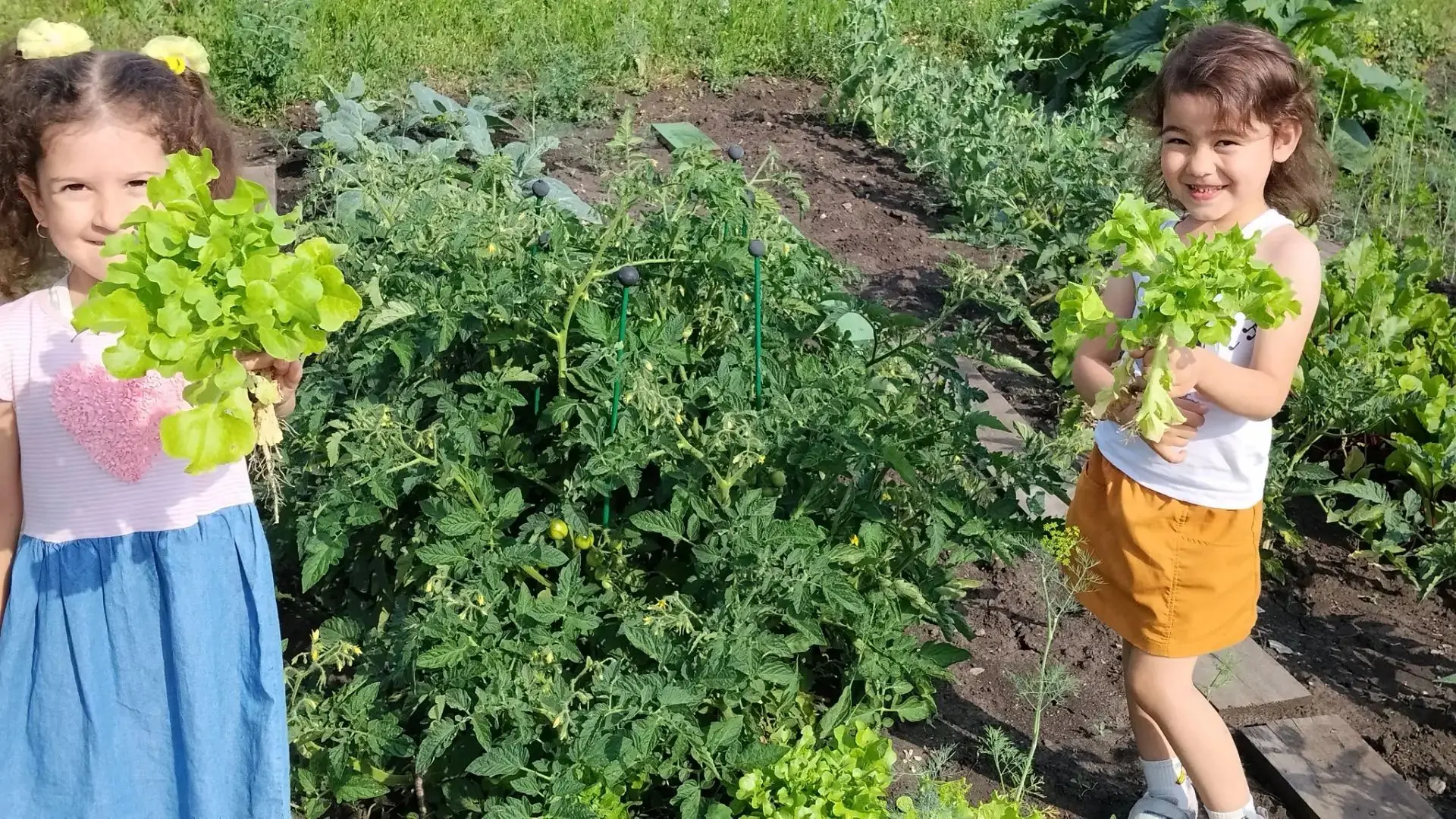 #детскийсад3каменка💯#Огородвдетскомсаду
🥒🍅🥬В группе "Ромашка" (ул. Болгарская, 12) ребята погруз