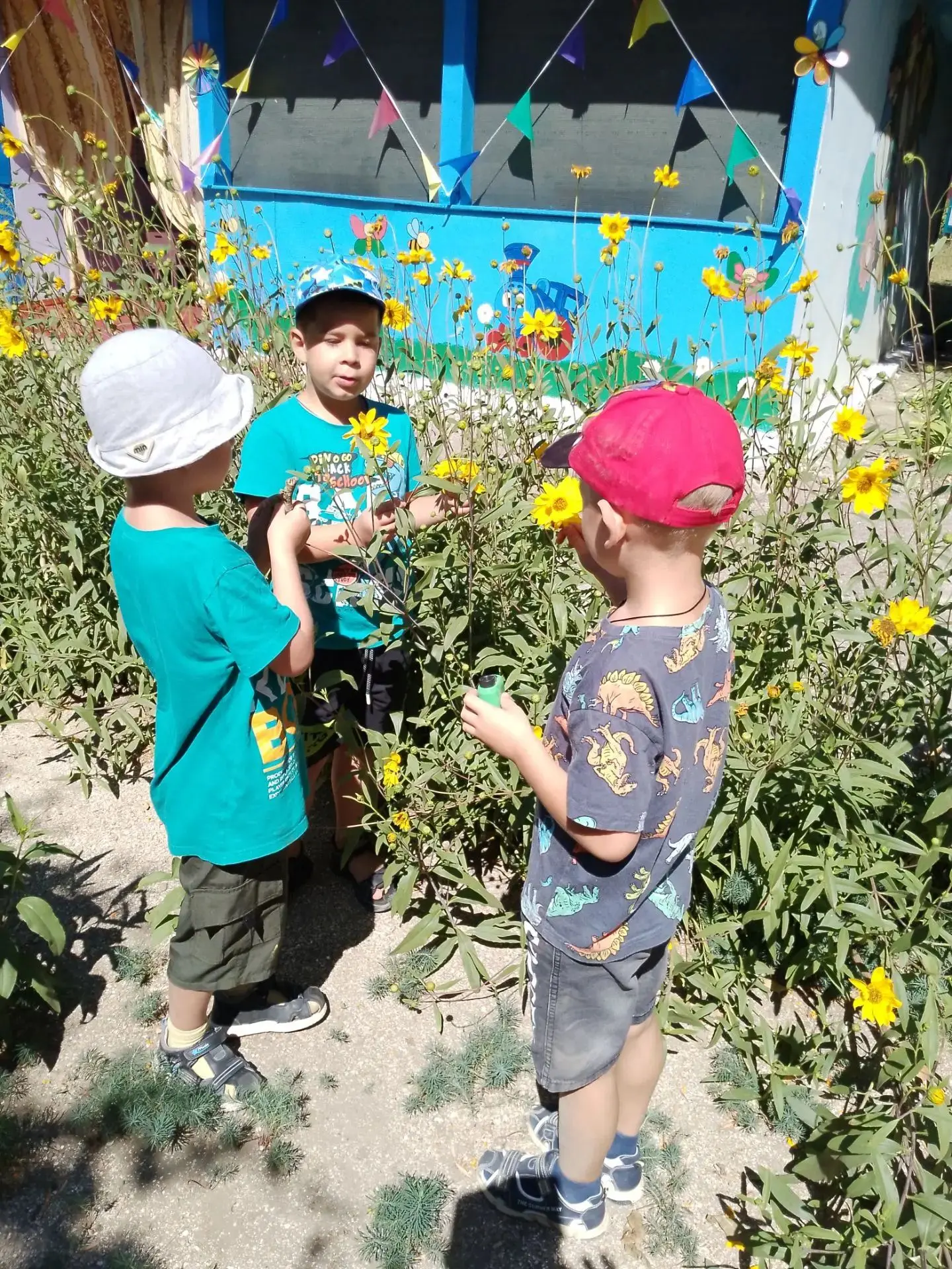 В нашей группе "Кубанские солнышки" прошло наблюдение за цветами на клумбе. И сегодня м...