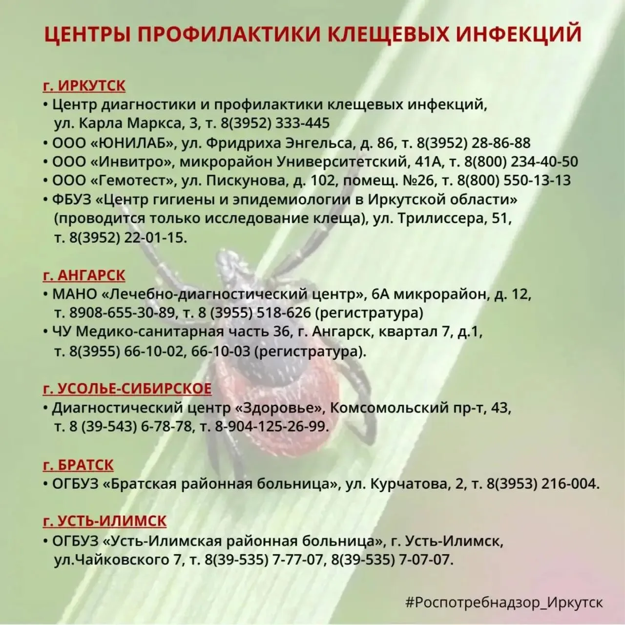За прошедшую неделю 256 жителей региона обратились за медицинской помощью по поводу уку...