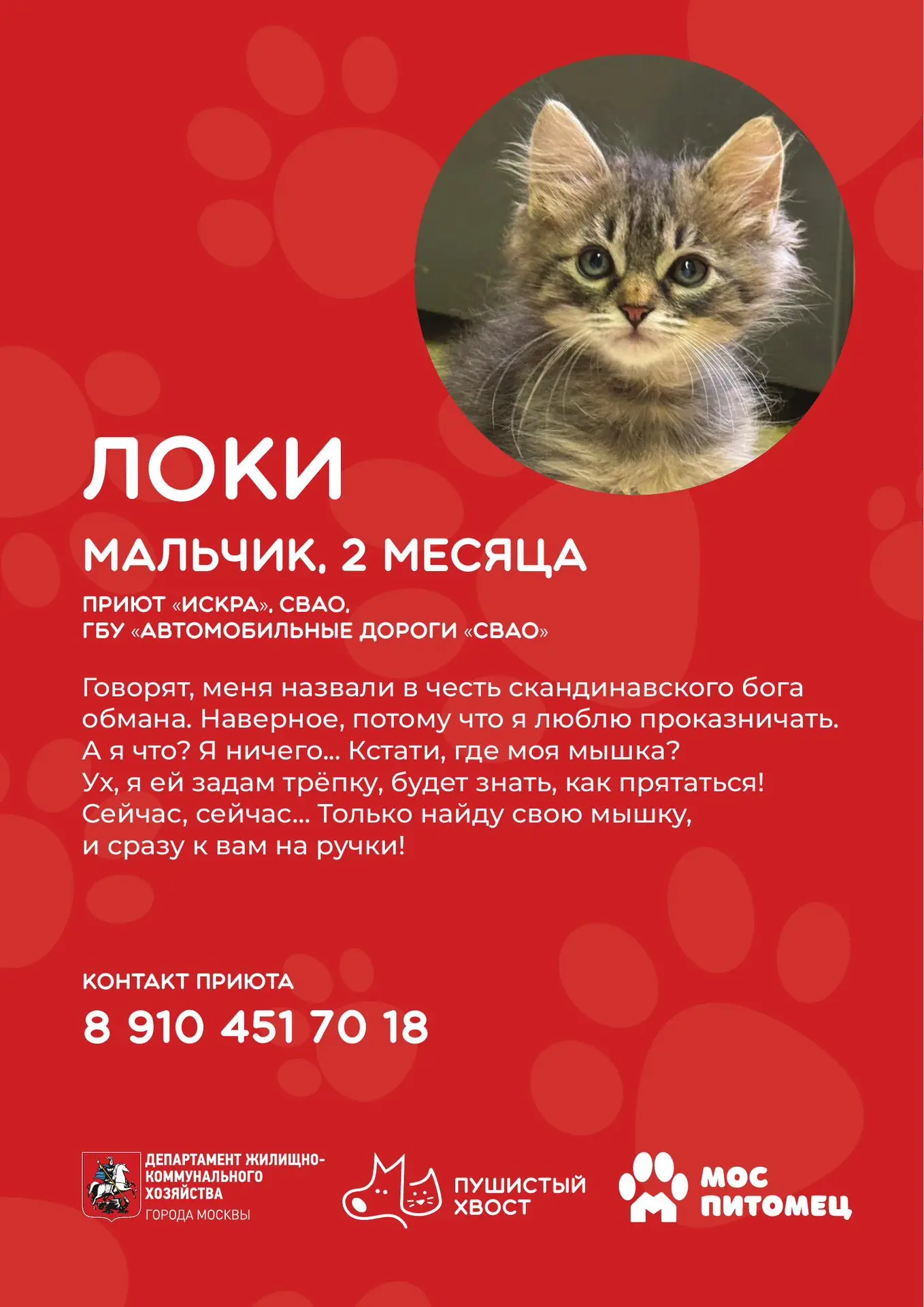 🐾 Еще 9 причин заглянуть на «Пушистый хвост»

Уже завтра выставка-пристройство животных из городски