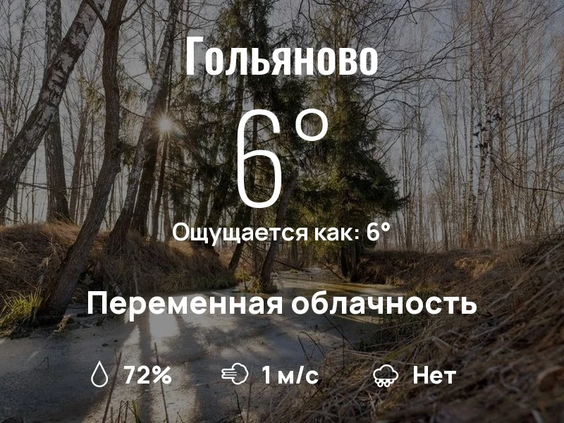 Что с погодой в Гольяново?