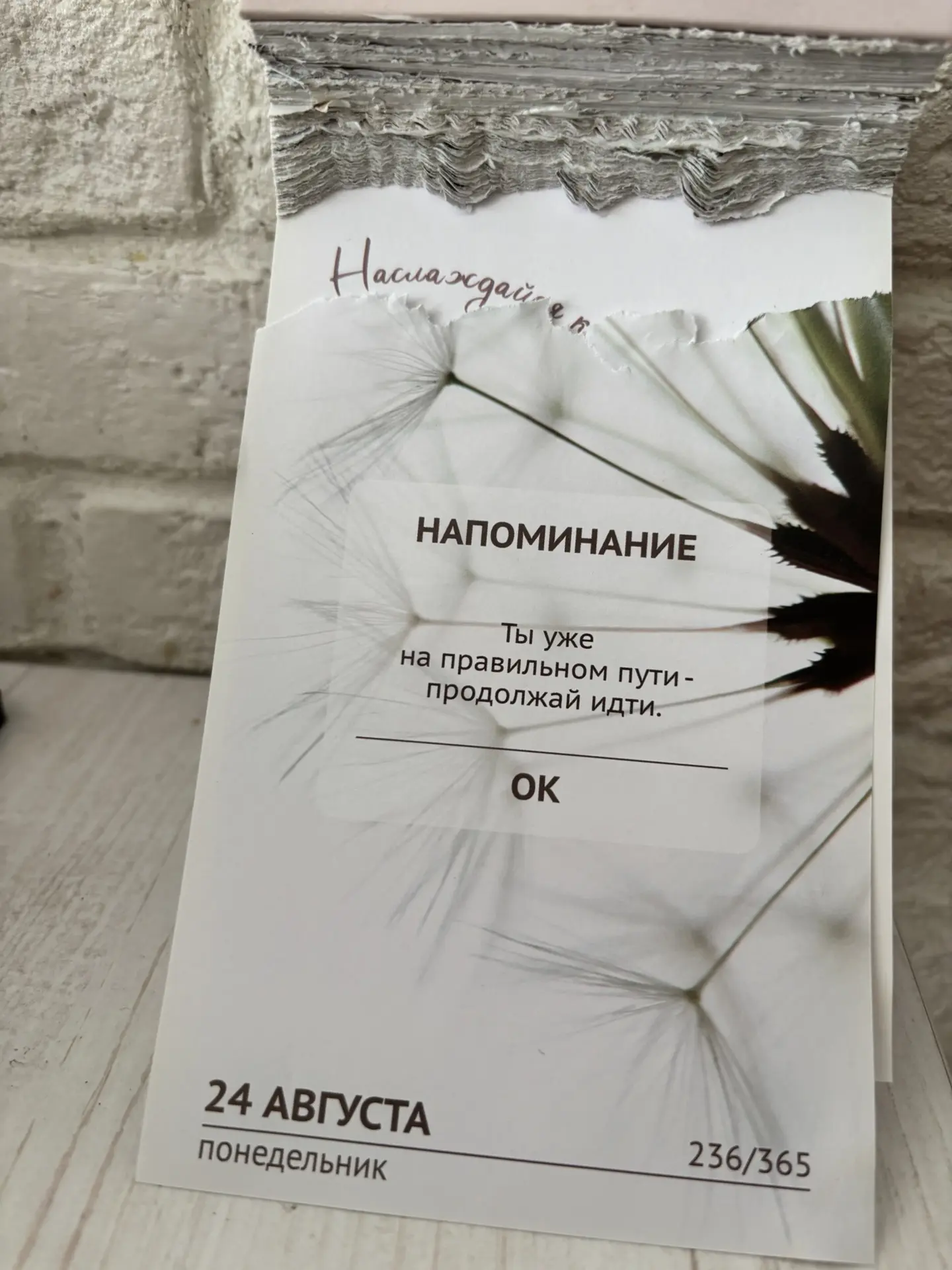 Доброе утро 🫶🏻