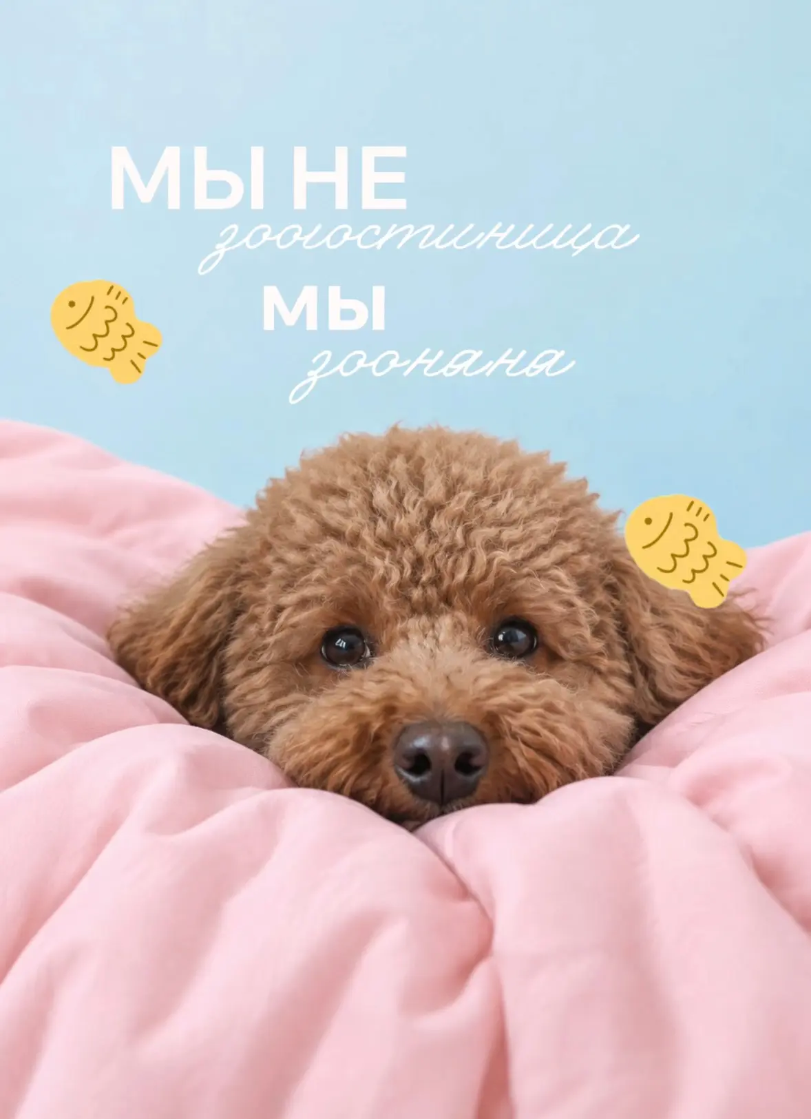 Зоогостиница или зооняня? Это не одно и то же 🩵