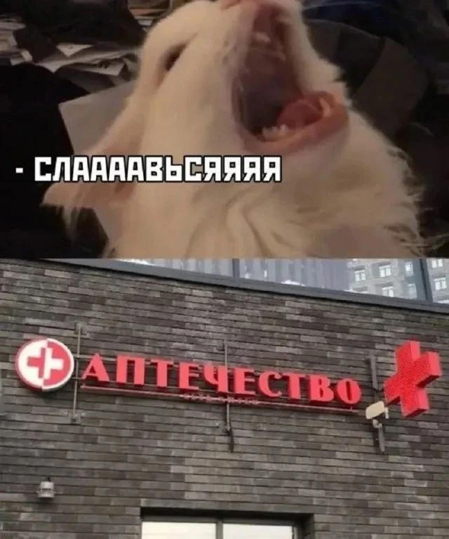 Нааааашееее здоооороооовое!
