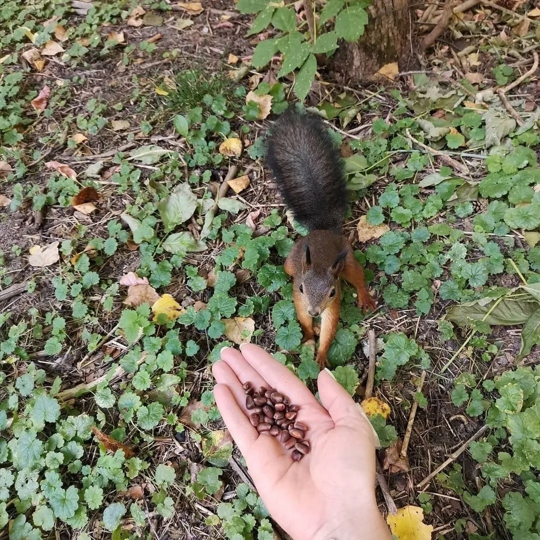 Милашка из Лагерного😊