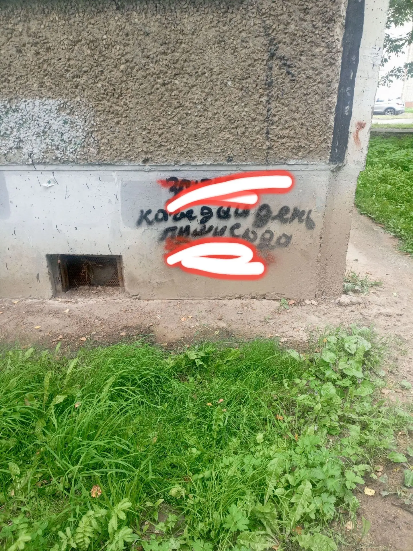 Какие редиски рисуют на домах?!