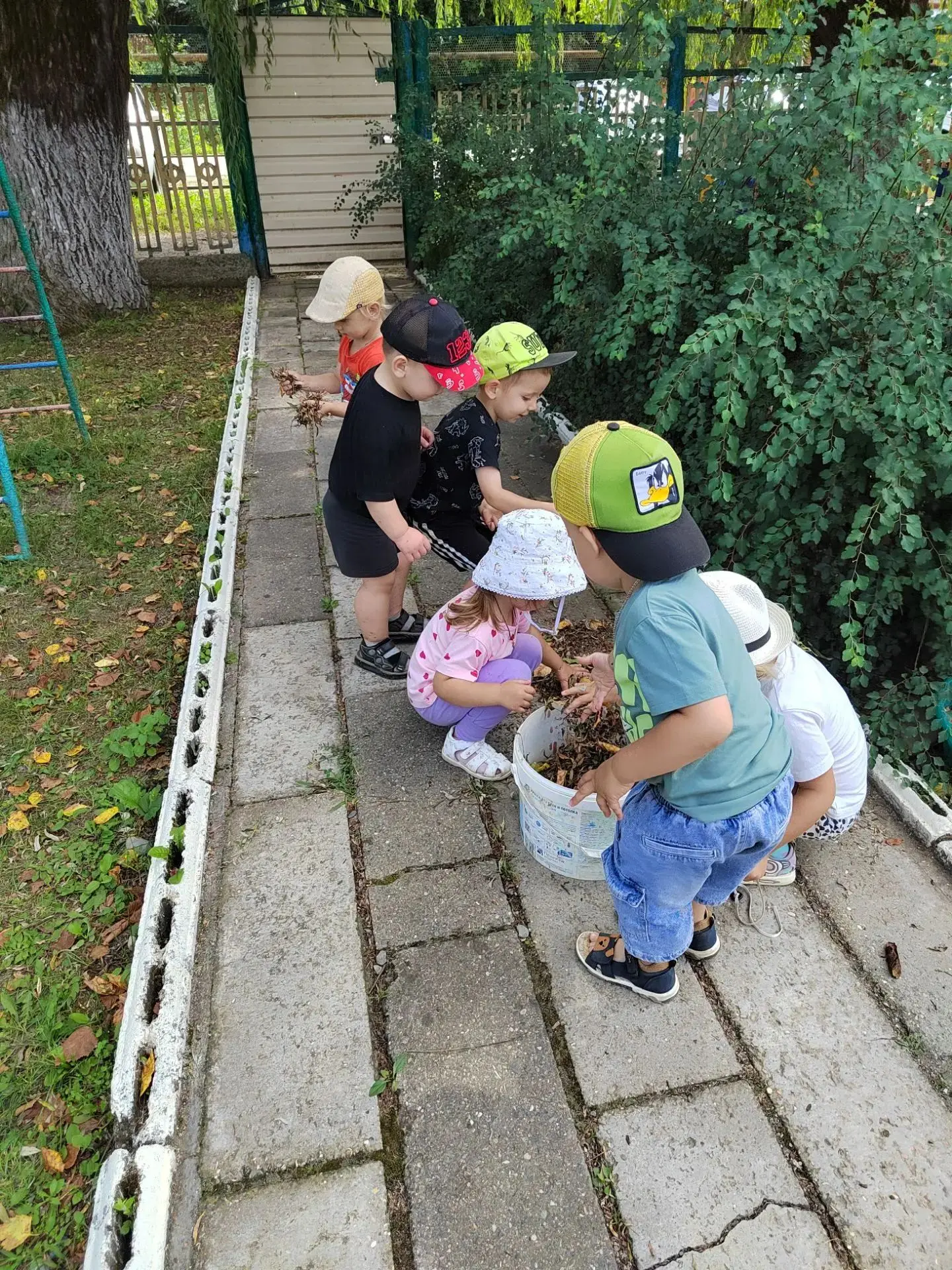 В нашем детском саду появилась добрая традиция «Чистые дорожки». Воспитанники совместно...