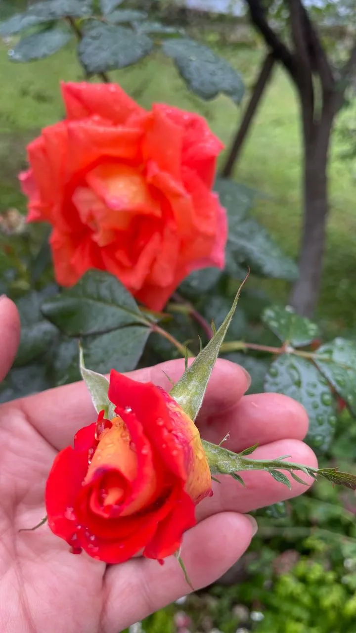 Хорошего выходного🌸