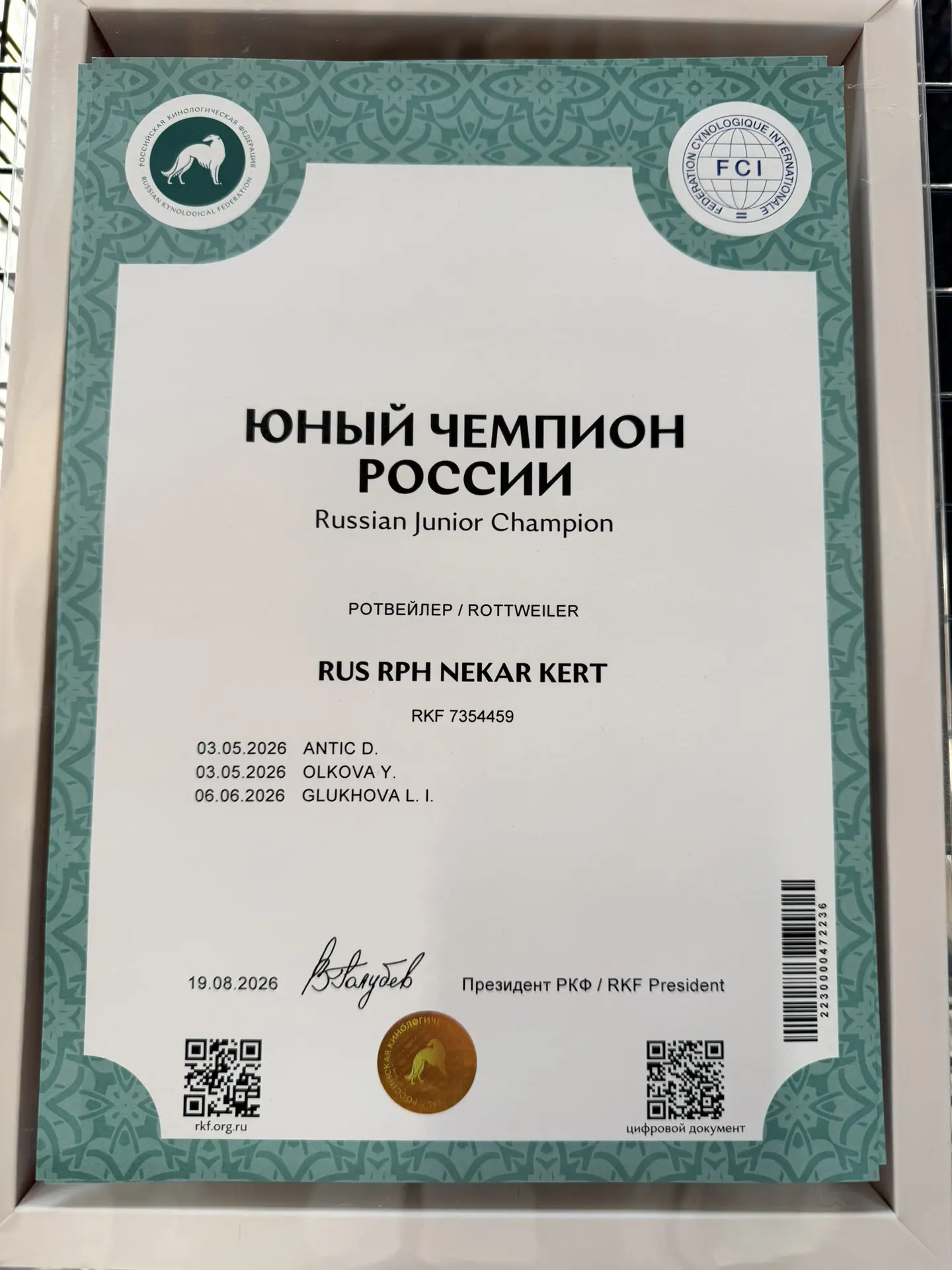 Изображение 1 к публикации «Irina_kuznecova18»