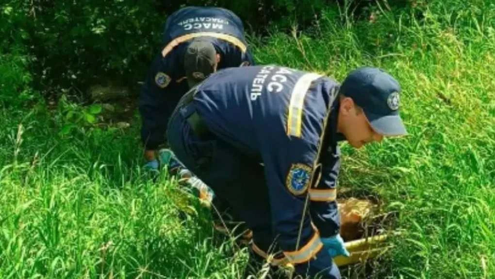 Новосибирские спасатели нашли двух наркоманов с опарышами во рту