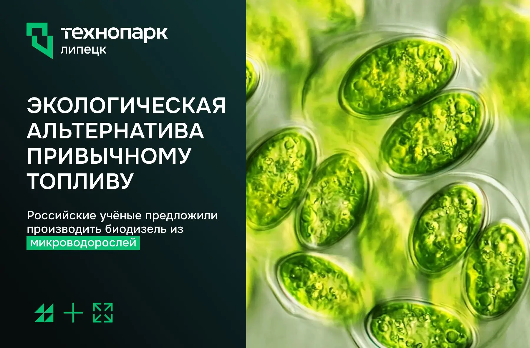 🧪 ТОПЛИВО ИЗ ВОДОРОСЛЕЙ: МИФ ИЛИ РЕАЛЬНОСТЬ?

Привычный нам дизель из нефти может уйти в прошлое ра
