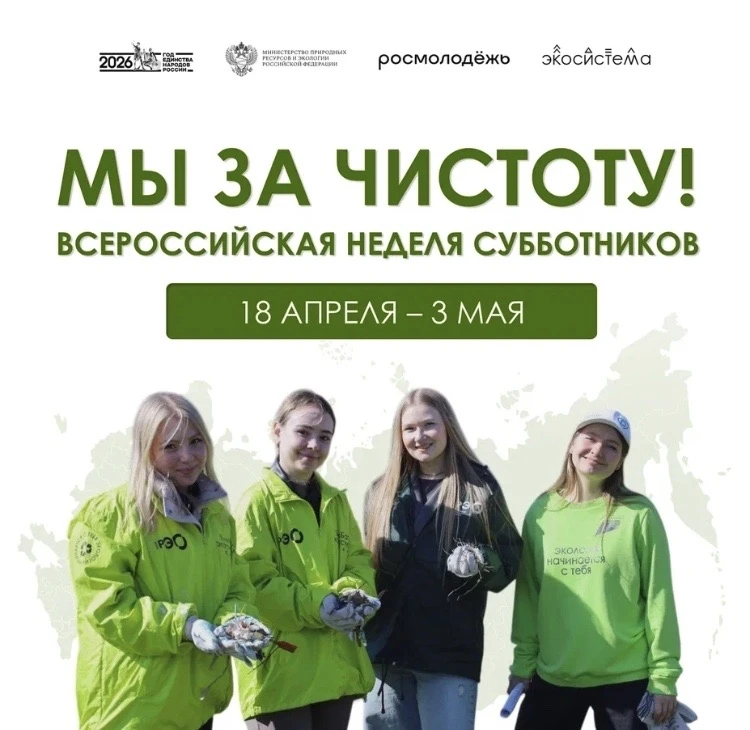 В рамках Всероссийской акции "Весенняя неделя добра " в Борковской  сош прошел субботни...