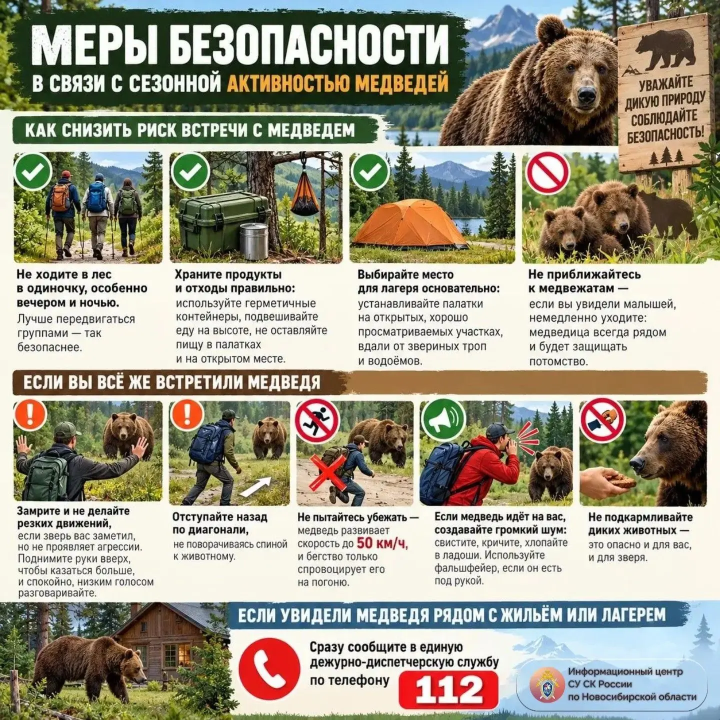 Меры безопасности в связи с сезонной активностью медведей – в проекте ИЦ СУ СК России п...