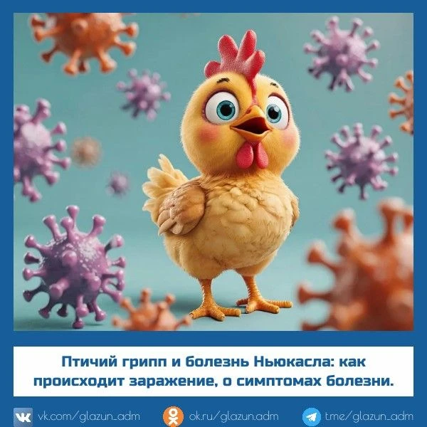 Грипп птиц – вирусное заболевание, поражающее сельскохозяйственных, синантропных и диких птиц, воспр