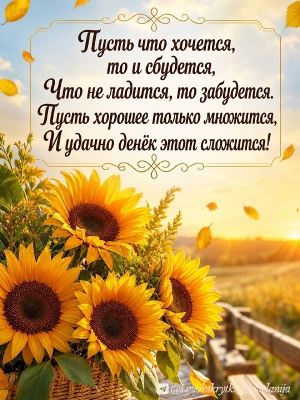 Открытки: подписаться ❤️