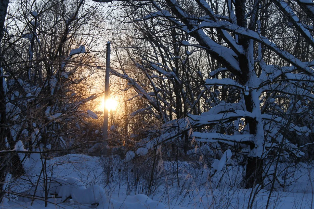 Фотопробег 📸   Марафон голосования. День третий❄️  Голоса засчитываются только от подписанных на наш