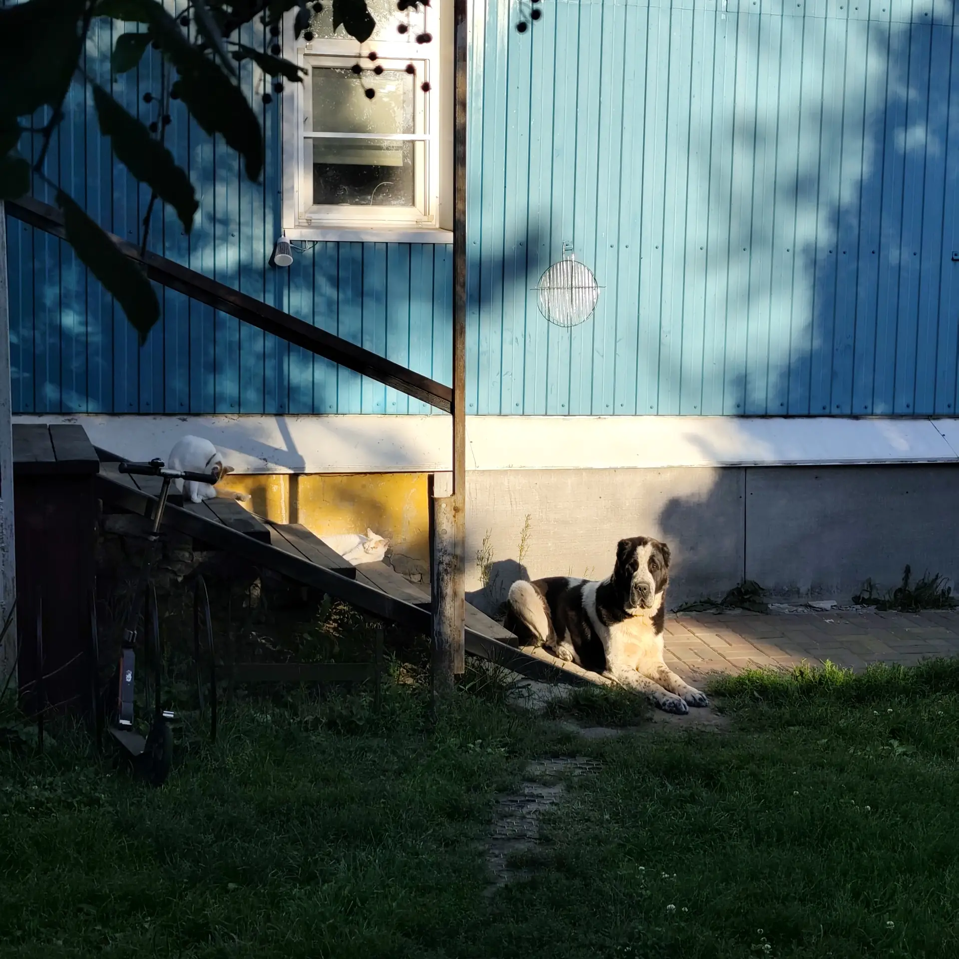 Луч света ранним вечером.
