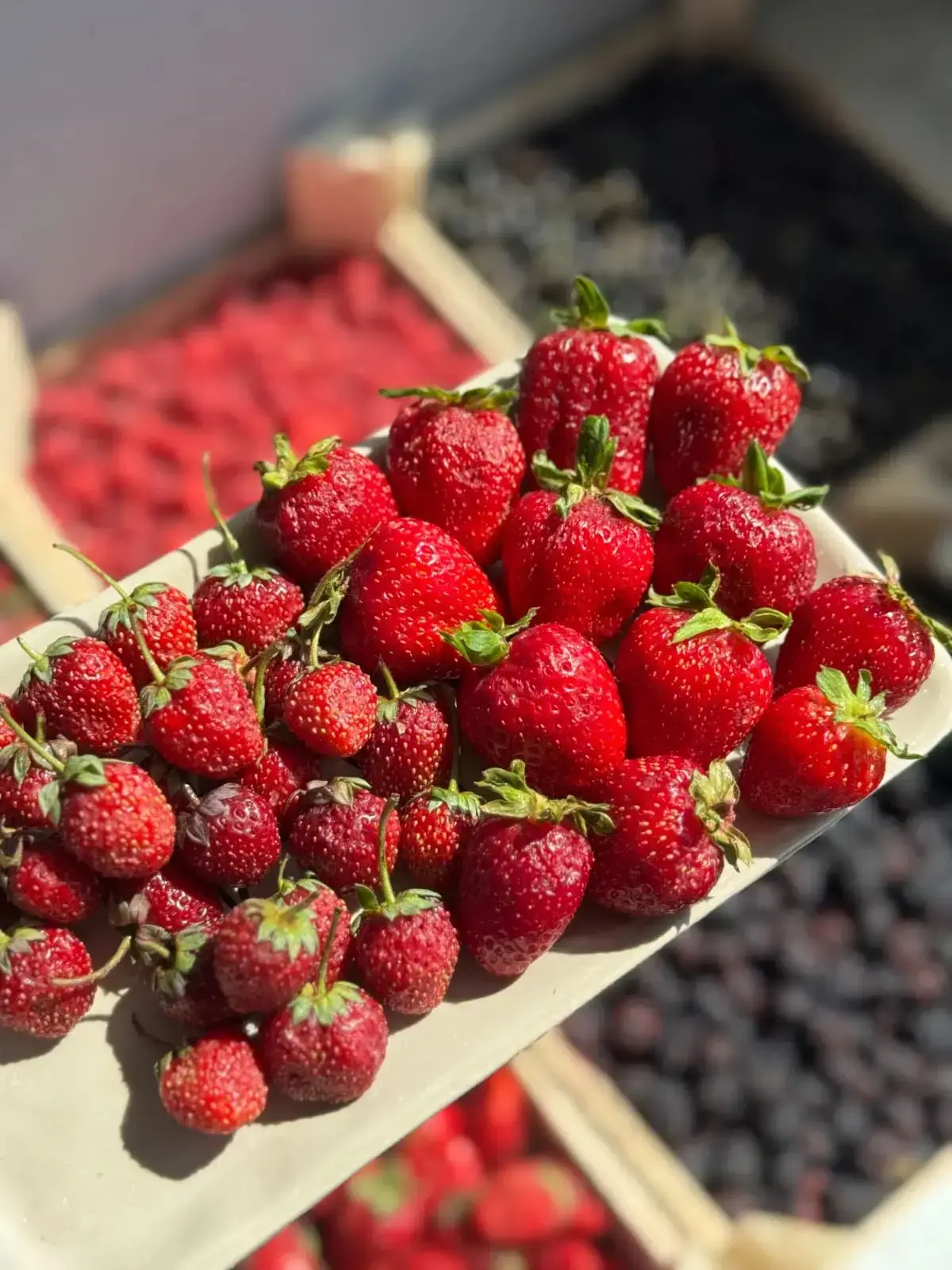 🍓На связи Берри Фиш 🍓