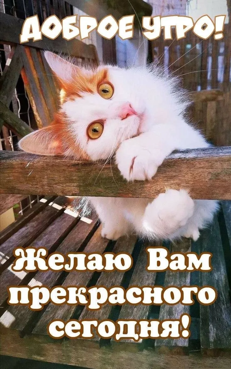 КРАСИВЫЕ ОТКРЫТКИ ТУТ💖