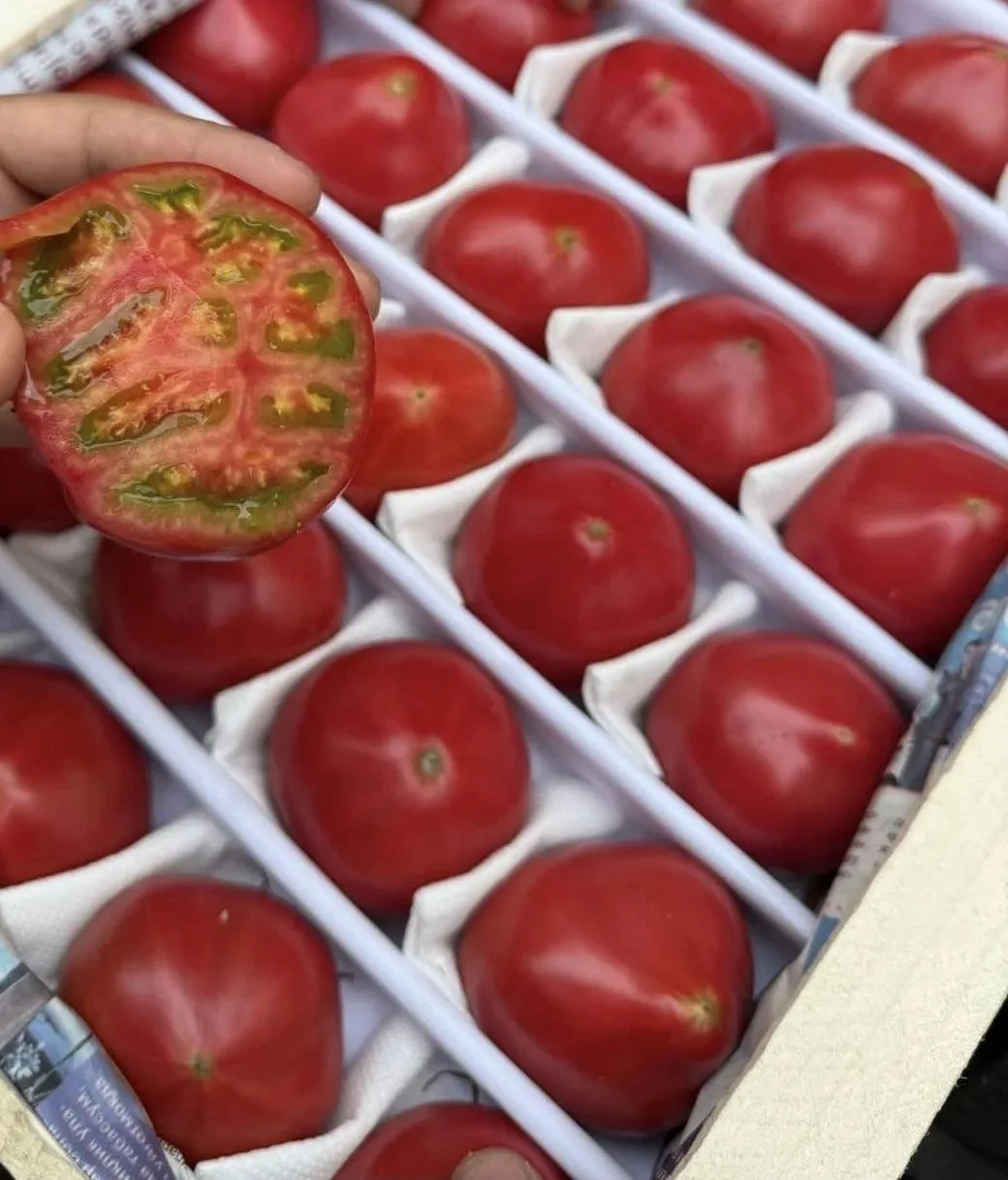🍅 Помидоры сладкие в наличии в магазине! Очень ароматные, мясистые! 1,5кг 680р
🍎 Яблоко ранетка, с