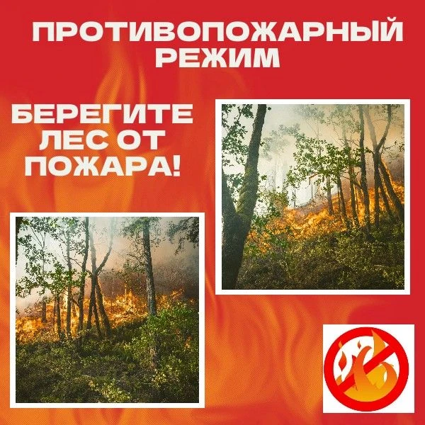 Люди ведут неосторожное обращение с огнем!