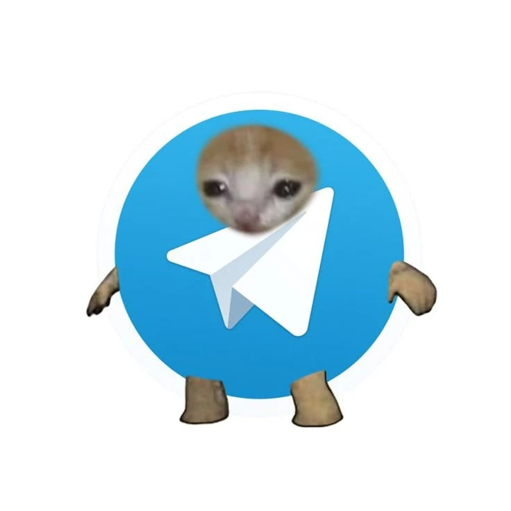🫡 В Госдуме заявили, что Telegram может избежать ограничений по примеру Roblox

Зампред комитета Го