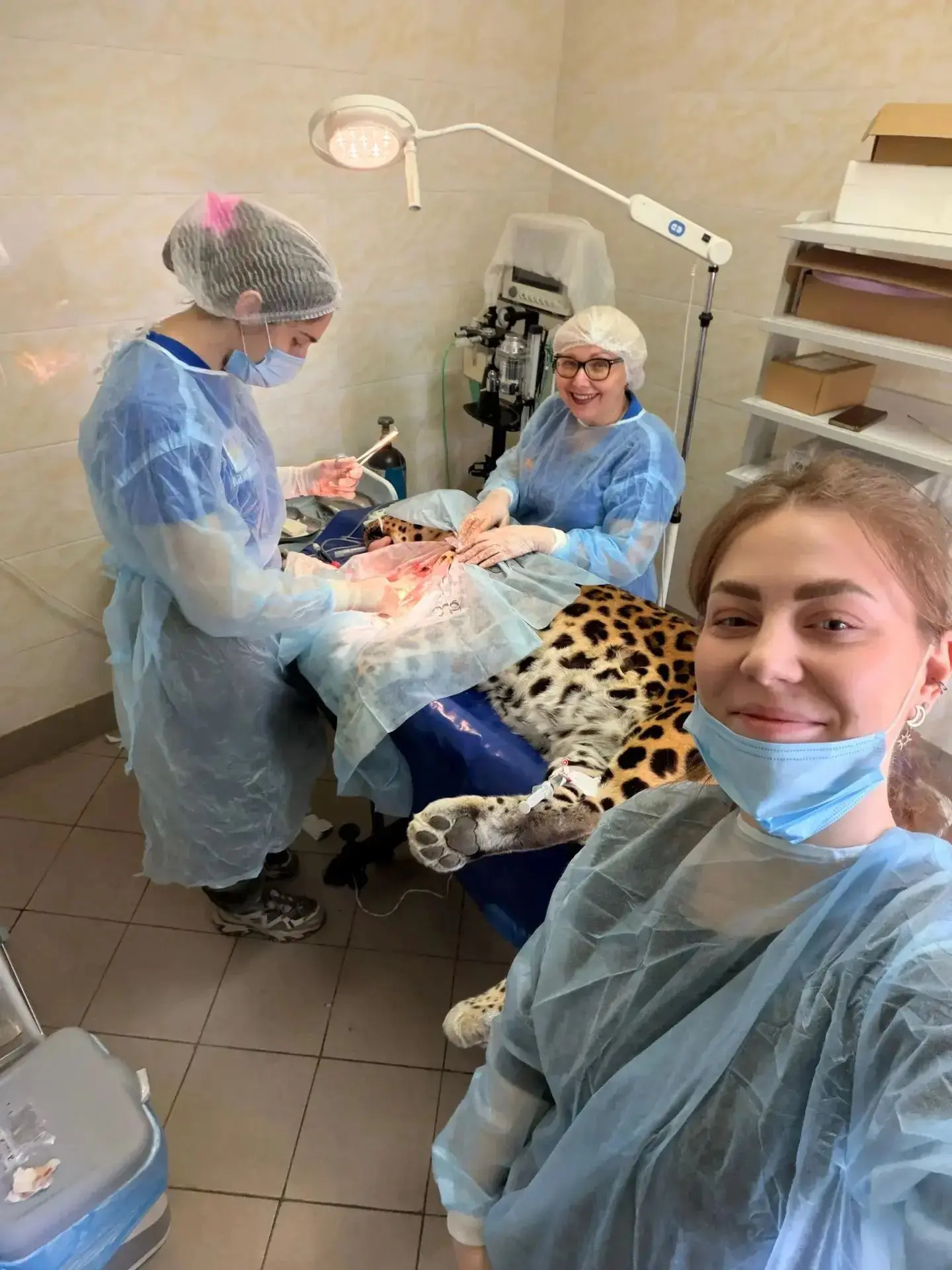 🧑‍⚕️ Ветеринария – одна из самых благородных профессий на Земле. 31 августа в России о...
